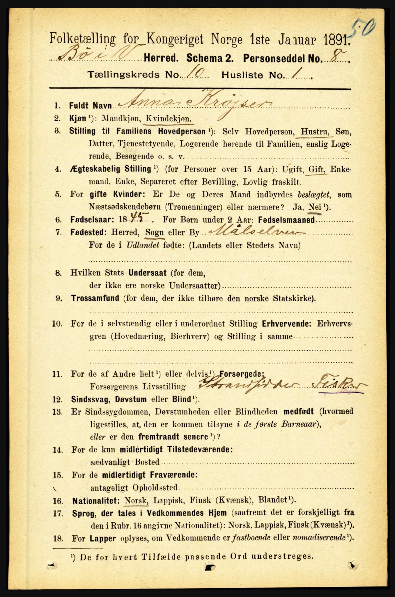 RA, 1891 census for 1867 Bø, 1891, p. 4021