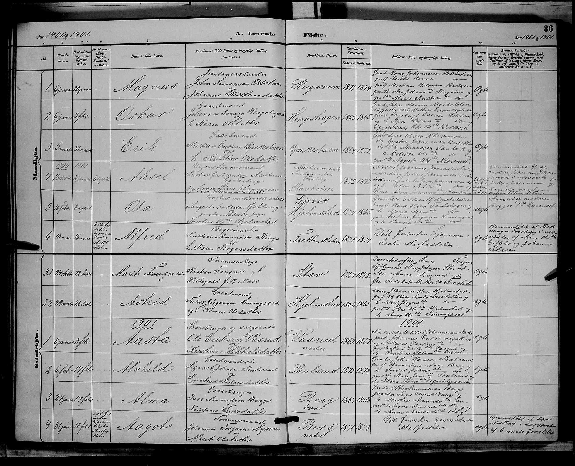 Øyer prestekontor, AV/SAH-PREST-084/H/Ha/Hab/L0004: Parish register (copy) no. 4, 1894-1905, p. 36