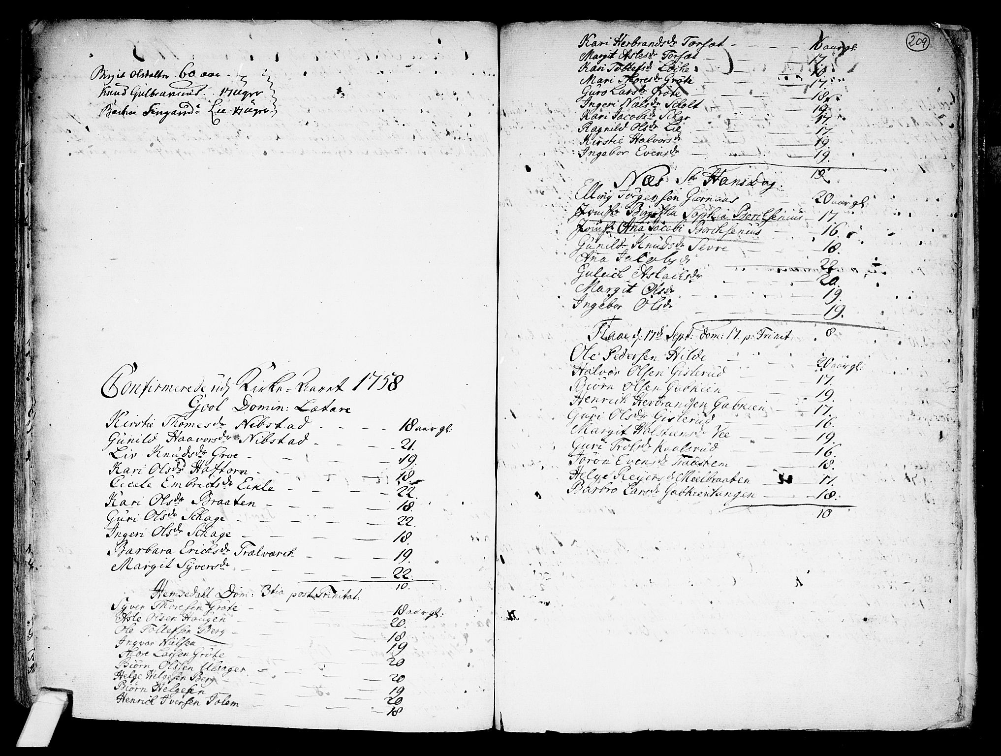 Nes kirkebøker, SAKO/A-236/F/Fa/L0002: Parish register (official) no. 2, 1707-1759, p. 209