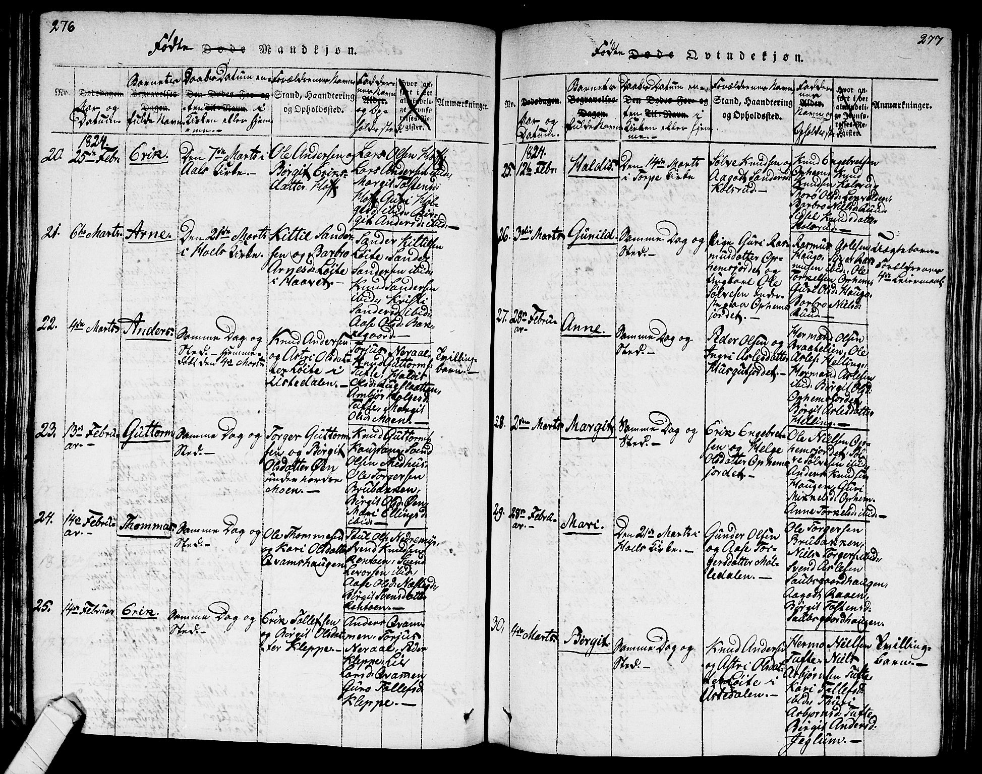 Ål kirkebøker, AV/SAKO-A-249/G/Ga/L0001: Parish register (copy) no. 1, 1815-1829, p. 276-277