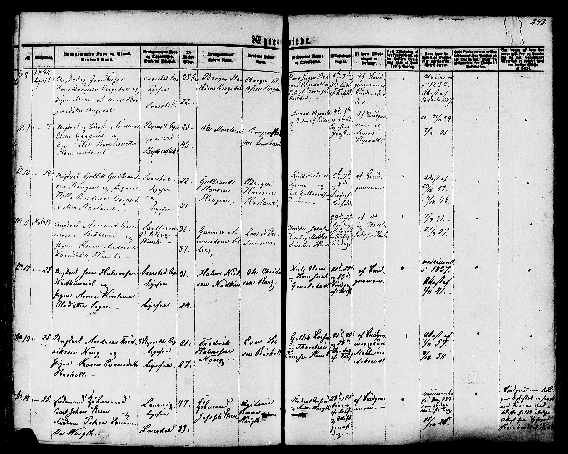 Lardal kirkebøker, AV/SAKO-A-350/F/Fa/L0007: Parish register (official) no. I 7, 1861-1880, p. 243