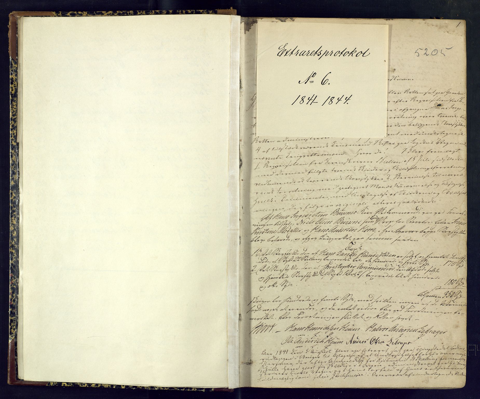 Nordre Jarlsberg sorenskriveri, SAKO/A-80/F/Fb/Fba/L0006: Ekstrarettsprotokoll, 1841-1844, p. 1