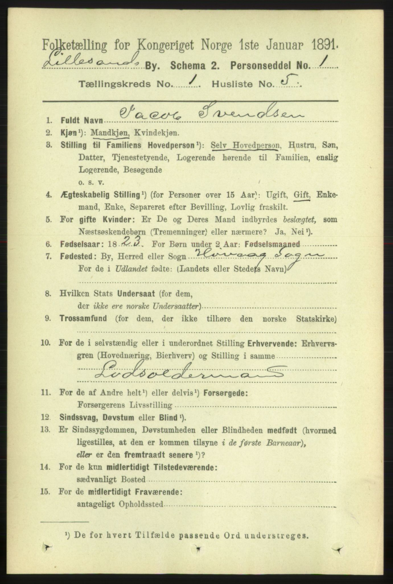 RA, 1891 census for 0905 Lillesand, 1891, p. 42