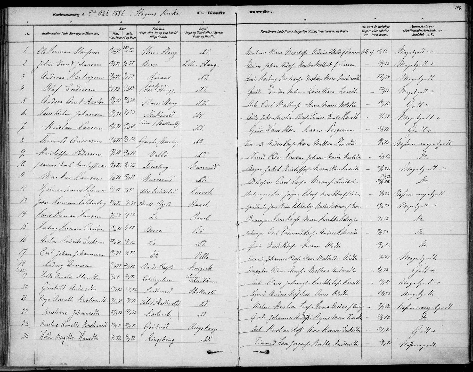 Sem kirkebøker, AV/SAKO-A-5/F/Fb/L0004: Parish register (official) no. II 4, 1878-1891, p. 196