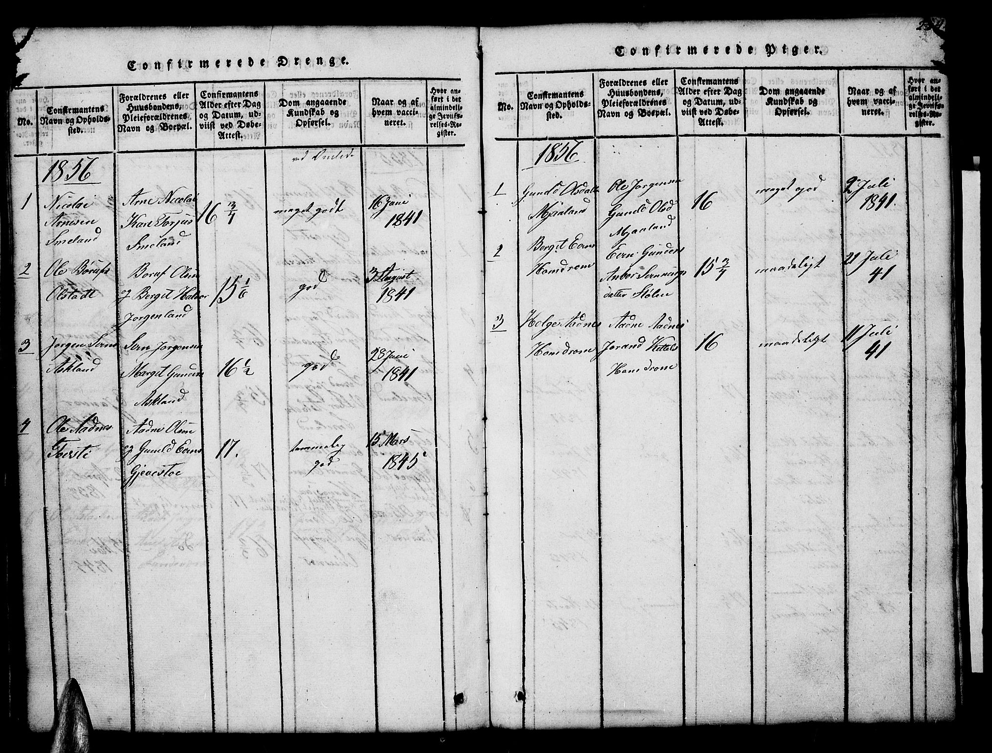 Åmli sokneprestkontor, AV/SAK-1111-0050/F/Fb/Fba/L0001: Parish register (copy) no. B 1, 1816-1890, p. 254