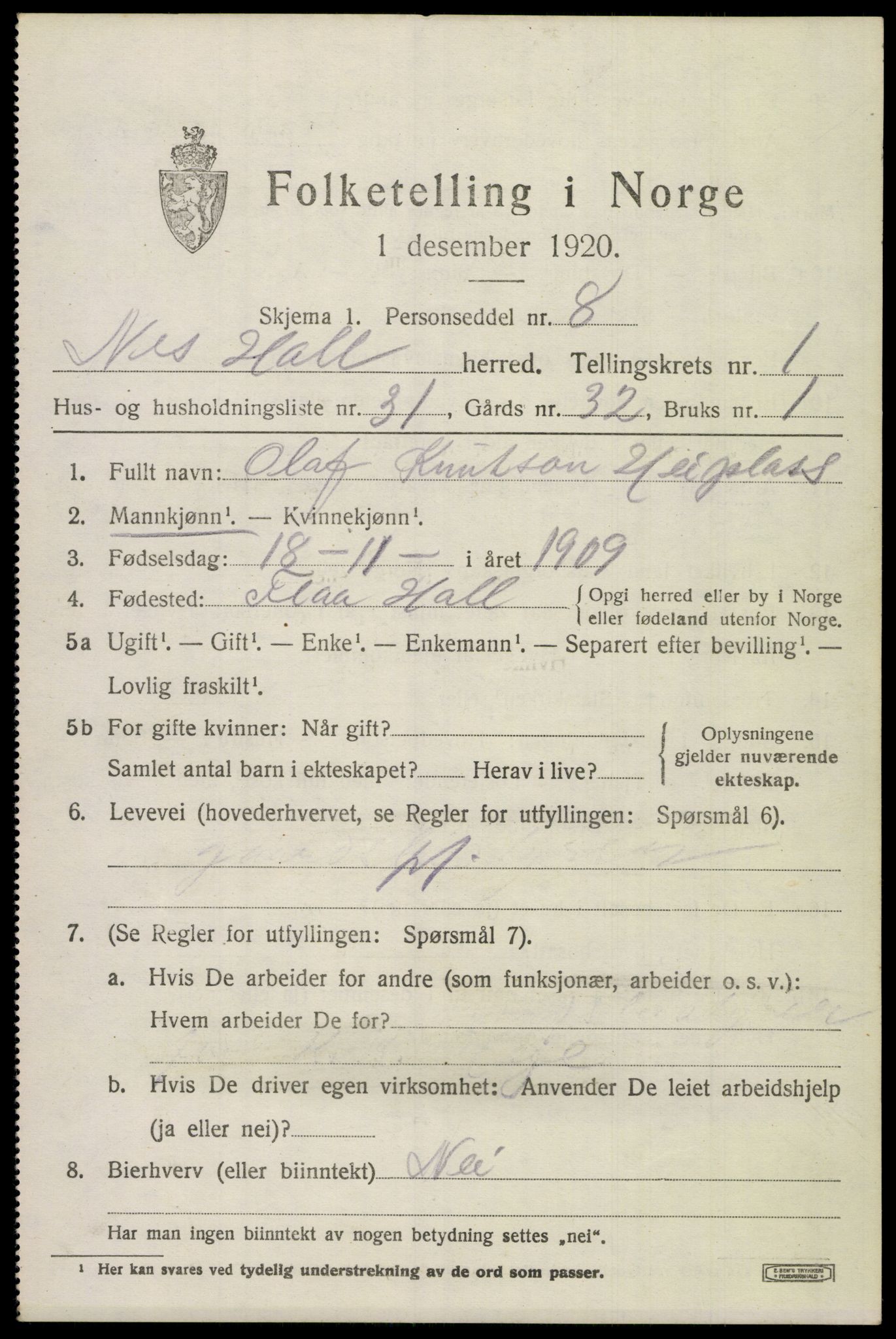 SAKO, 1920 census for Nes (Buskerud), 1920, p. 1306