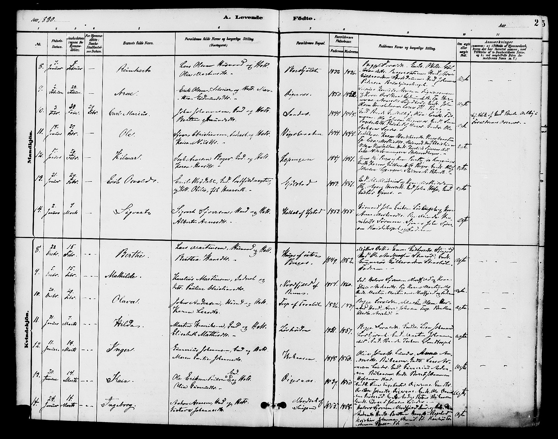 Brandval prestekontor, AV/SAH-PREST-034/H/Ha/Haa/L0002: Parish register (official) no. 2, 1880-1894, p. 2