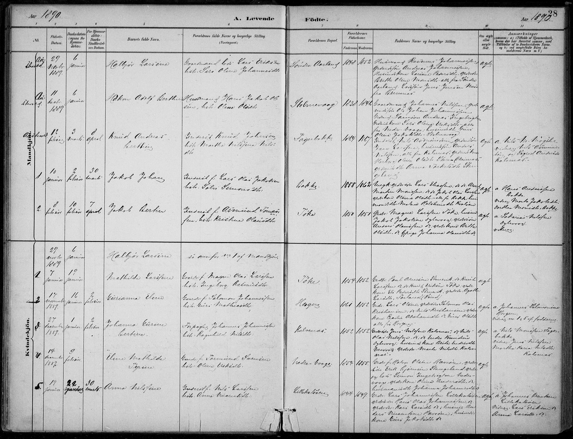 Sund sokneprestembete, AV/SAB-A-99930: Parish register (official) no. D 1, 1882-1899, p. 28