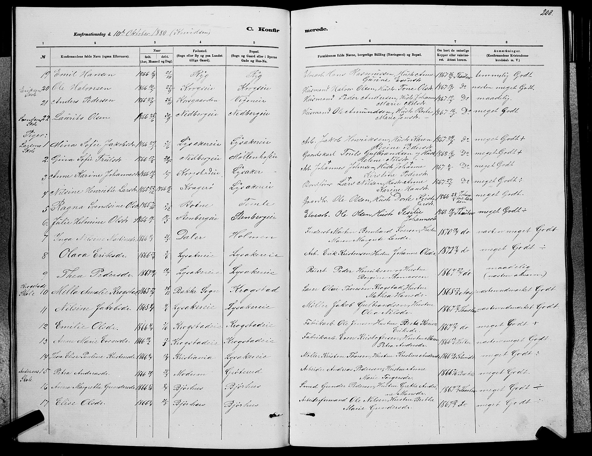 Nedre Eiker kirkebøker, AV/SAKO-A-612/G/Ga/L0002: Parish register (copy) no. 2, 1880-1896, p. 208