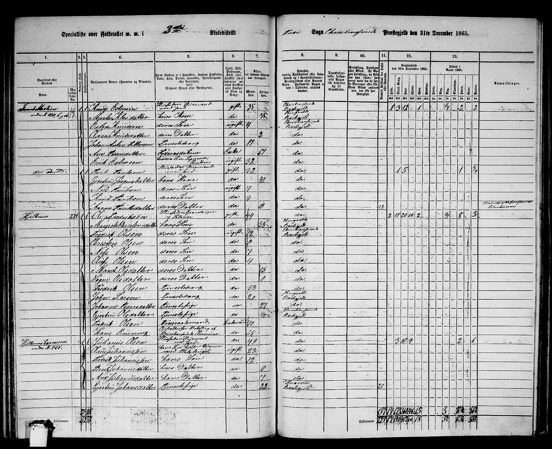 RA, 1865 census for Kristiansund/Frei og Grip, 1865, p. 44