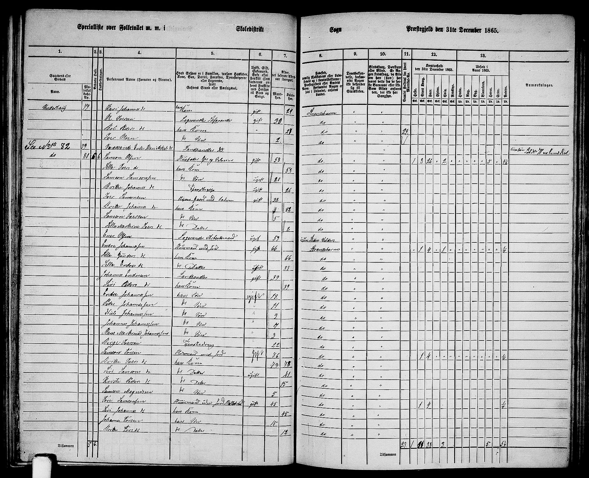 RA, 1865 census for Strandebarm, 1865, p. 127