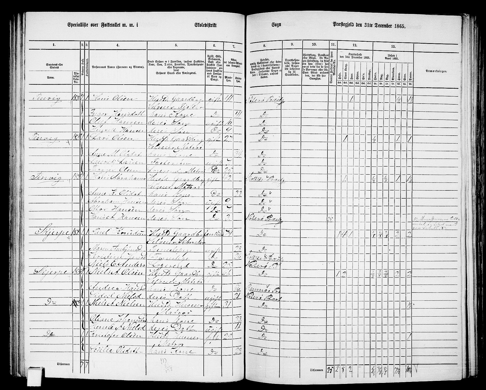 RA, 1865 census for Nøtterøy, 1865, p. 159