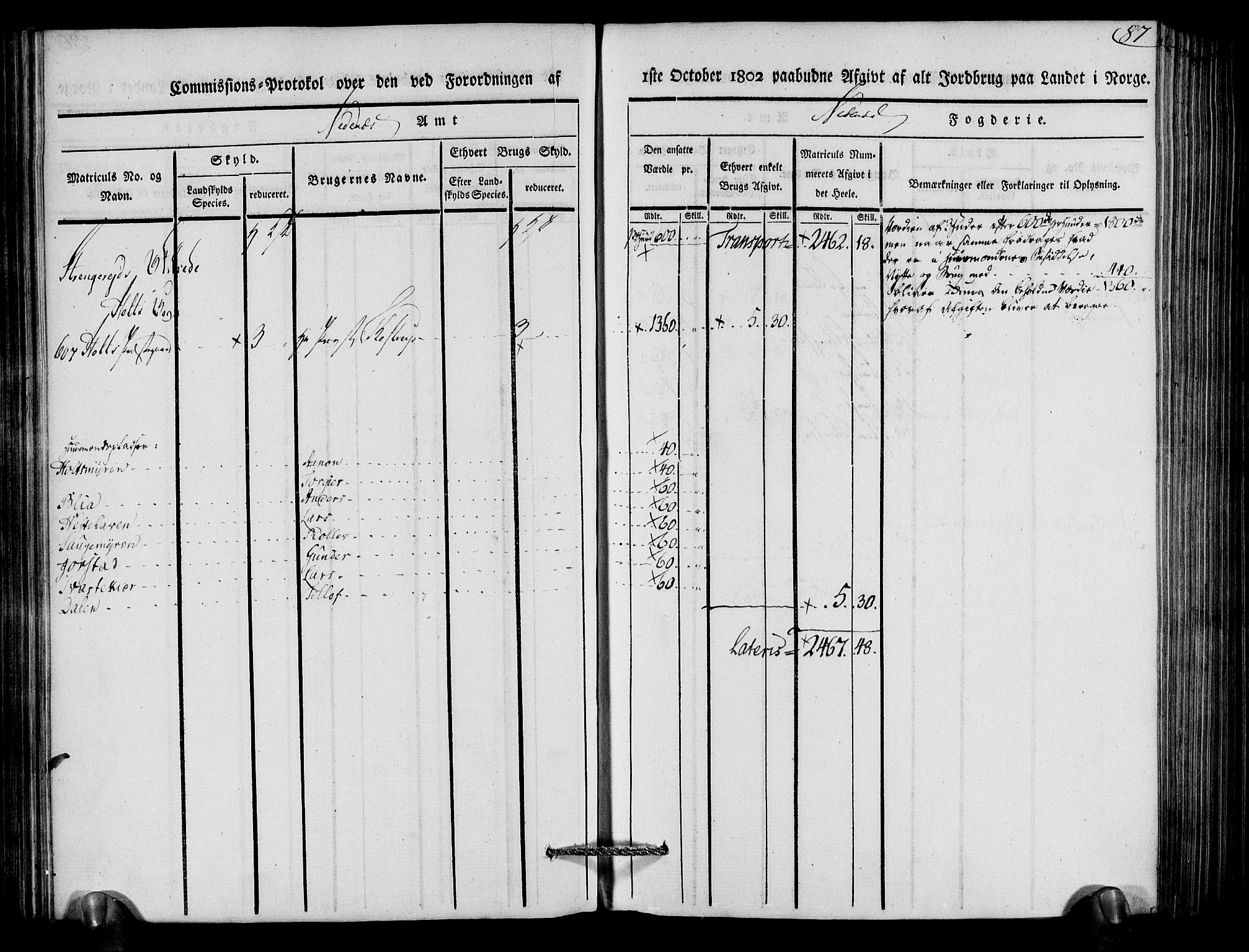 Rentekammeret inntil 1814, Realistisk ordnet avdeling, RA/EA-4070/N/Ne/Nea/L0079: Nedenes fogderi. Kommisjonsprotokoll "Nr. 2", for Strengereid skipreide, 1803, p. 84