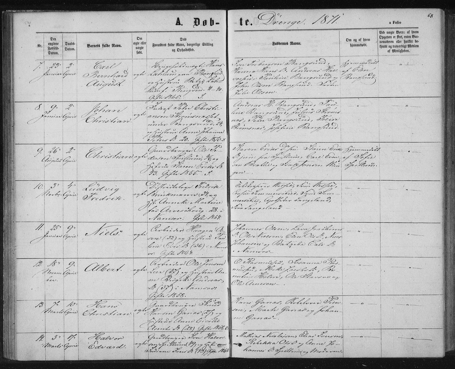 Ministerialprotokoller, klokkerbøker og fødselsregistre - Nord-Trøndelag, AV/SAT-A-1458/768/L0570: Parish register (official) no. 768A05, 1865-1874, p. 68