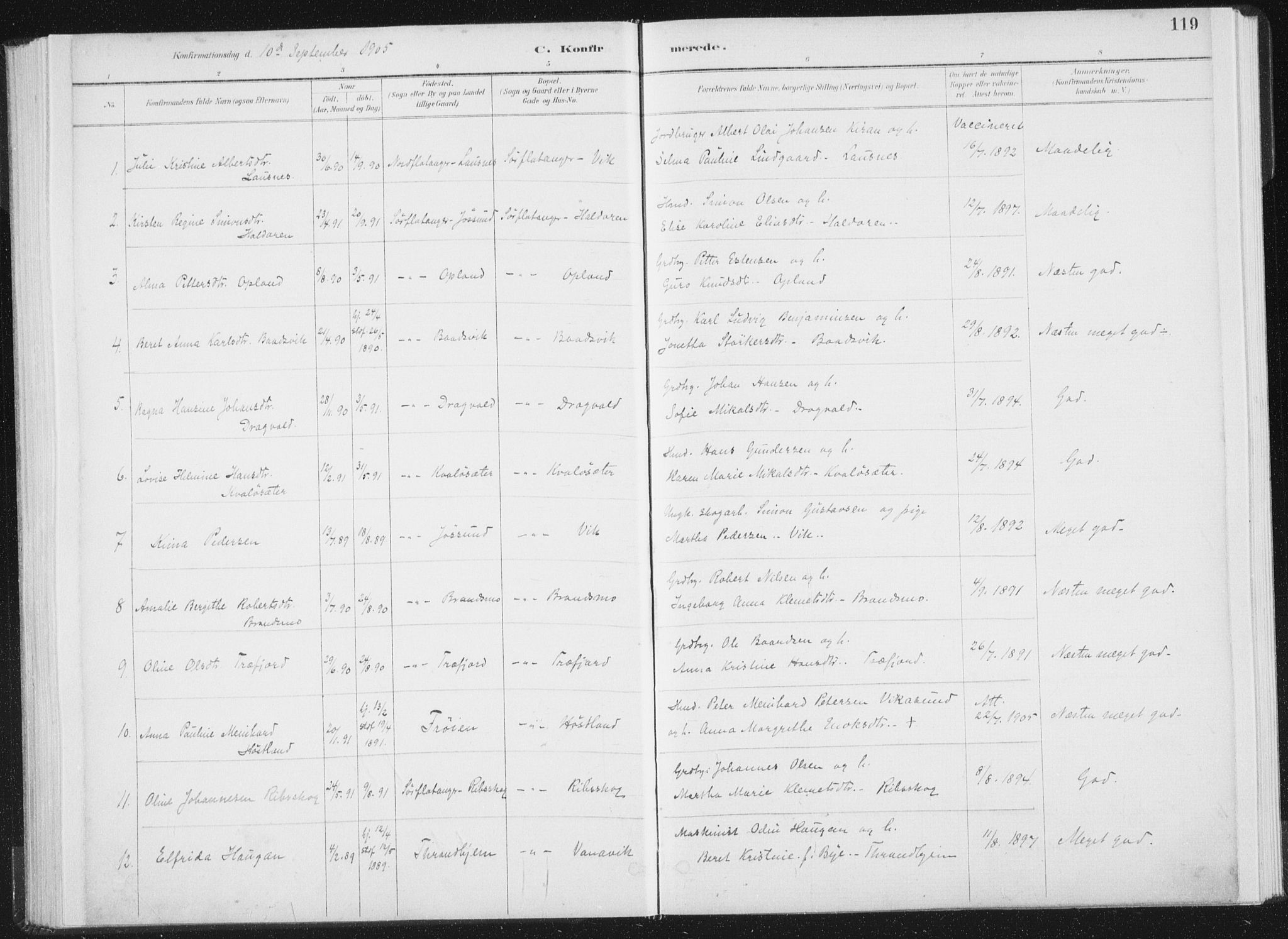 Ministerialprotokoller, klokkerbøker og fødselsregistre - Nord-Trøndelag, AV/SAT-A-1458/771/L0597: Parish register (official) no. 771A04, 1885-1910, p. 119