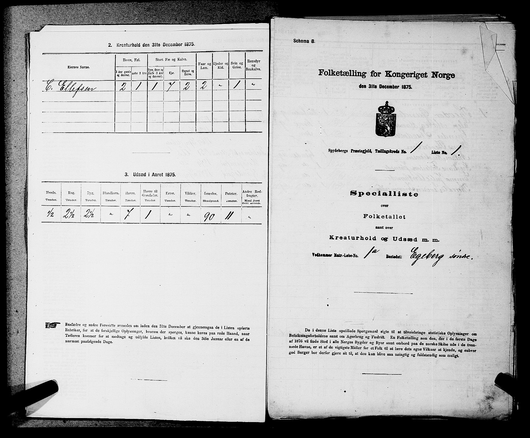 RA, 1875 census for 0123P Spydeberg, 1875, p. 33