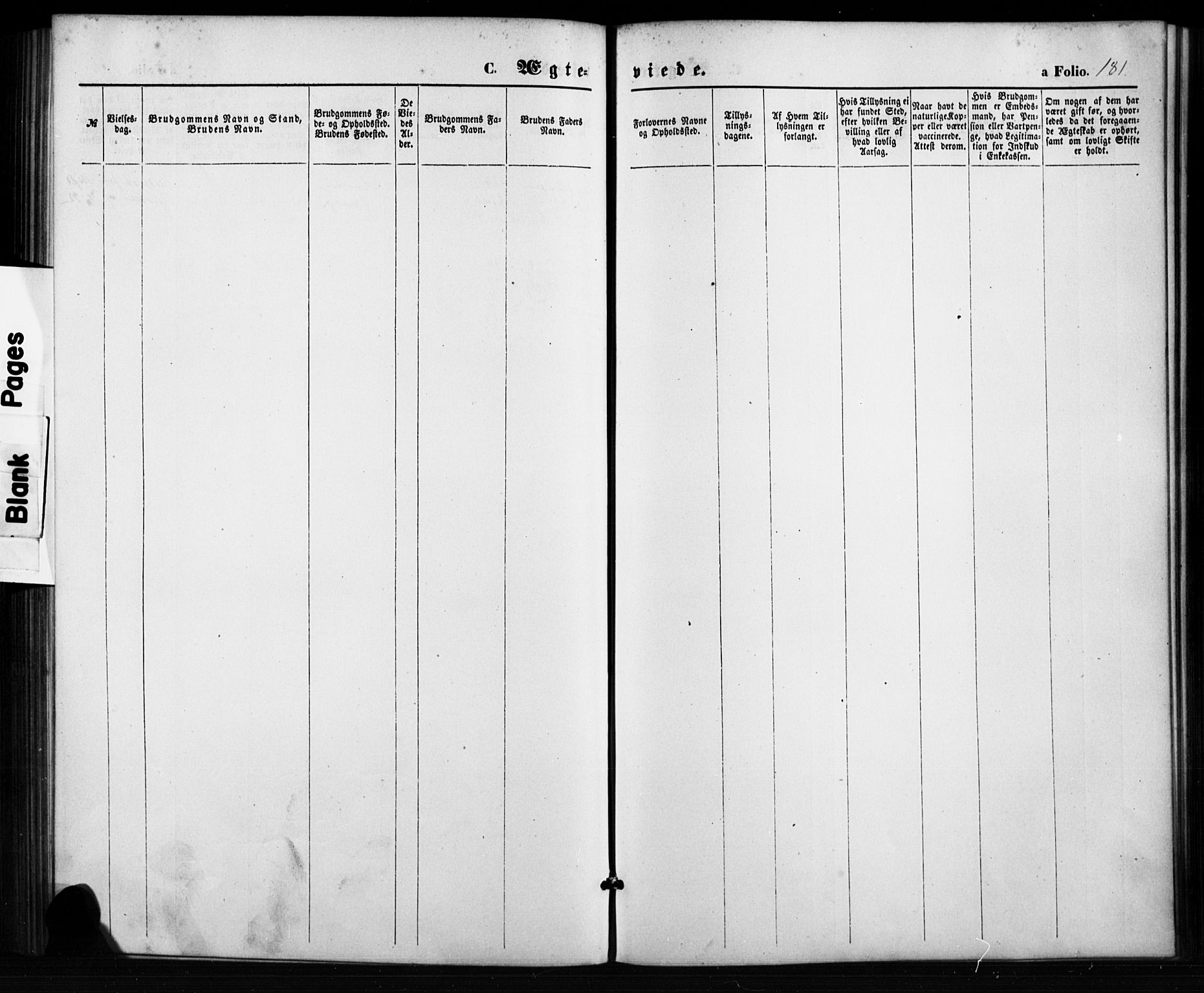 Birkenes sokneprestkontor, AV/SAK-1111-0004/F/Fb/L0003: Parish register (copy) no. B 3, 1876-1892, p. 181