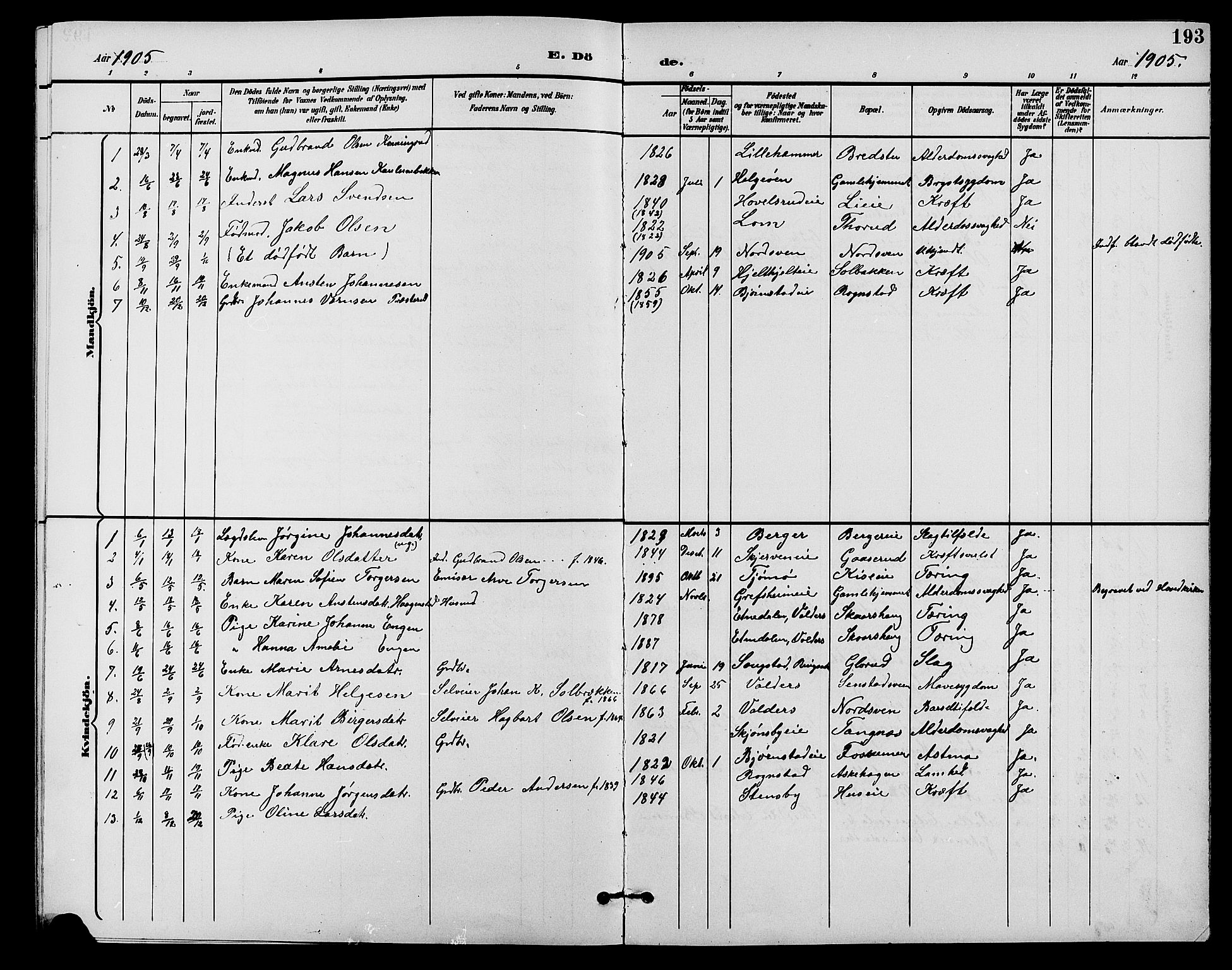 Nes prestekontor, Hedmark, SAH/PREST-020/L/La/L0007: Parish register (copy) no. 7, 1892-1912, p. 193