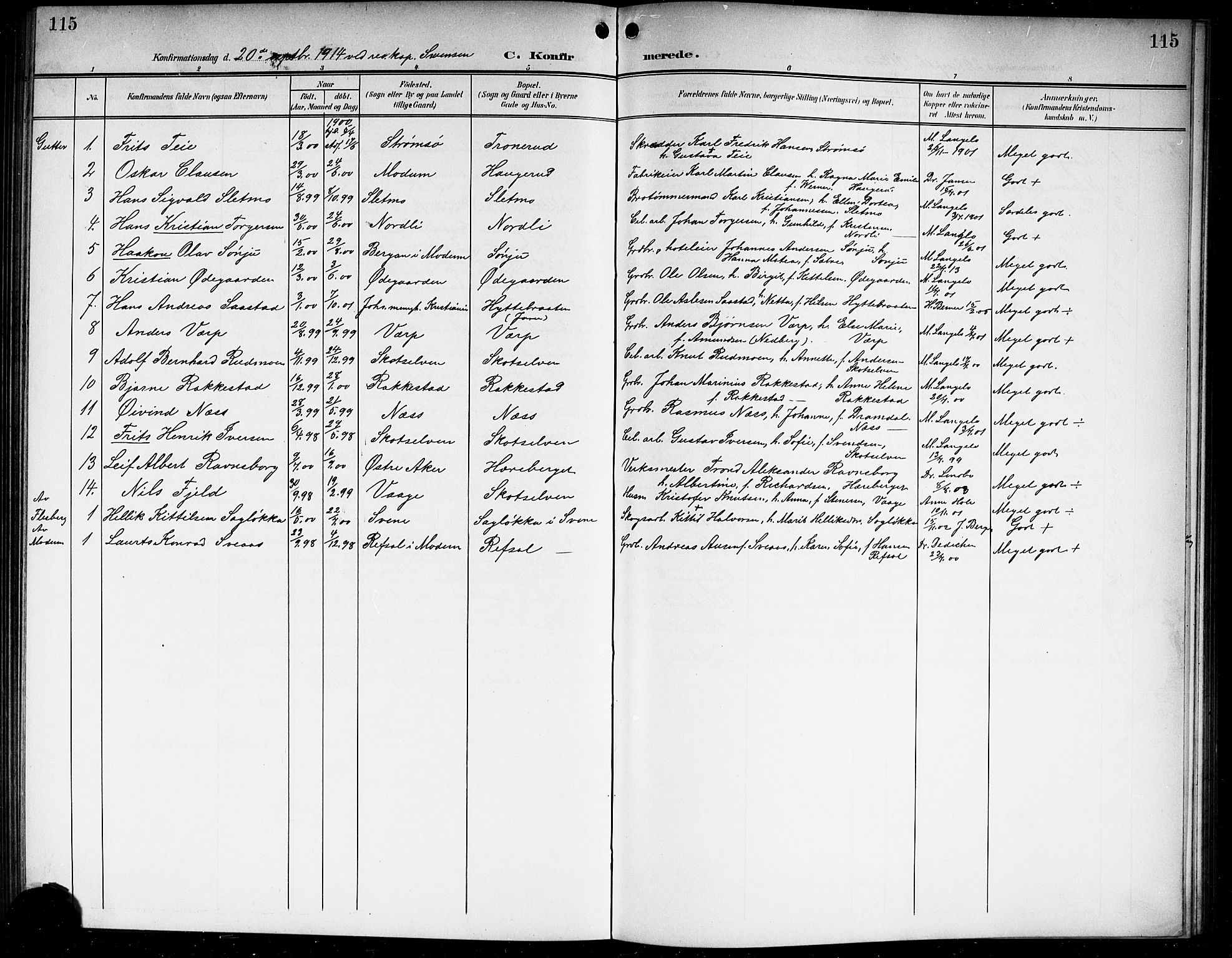 Eiker kirkebøker, SAKO/A-4/G/Gb/L0005: Parish register (copy) no. II 5, 1901-1923, p. 115