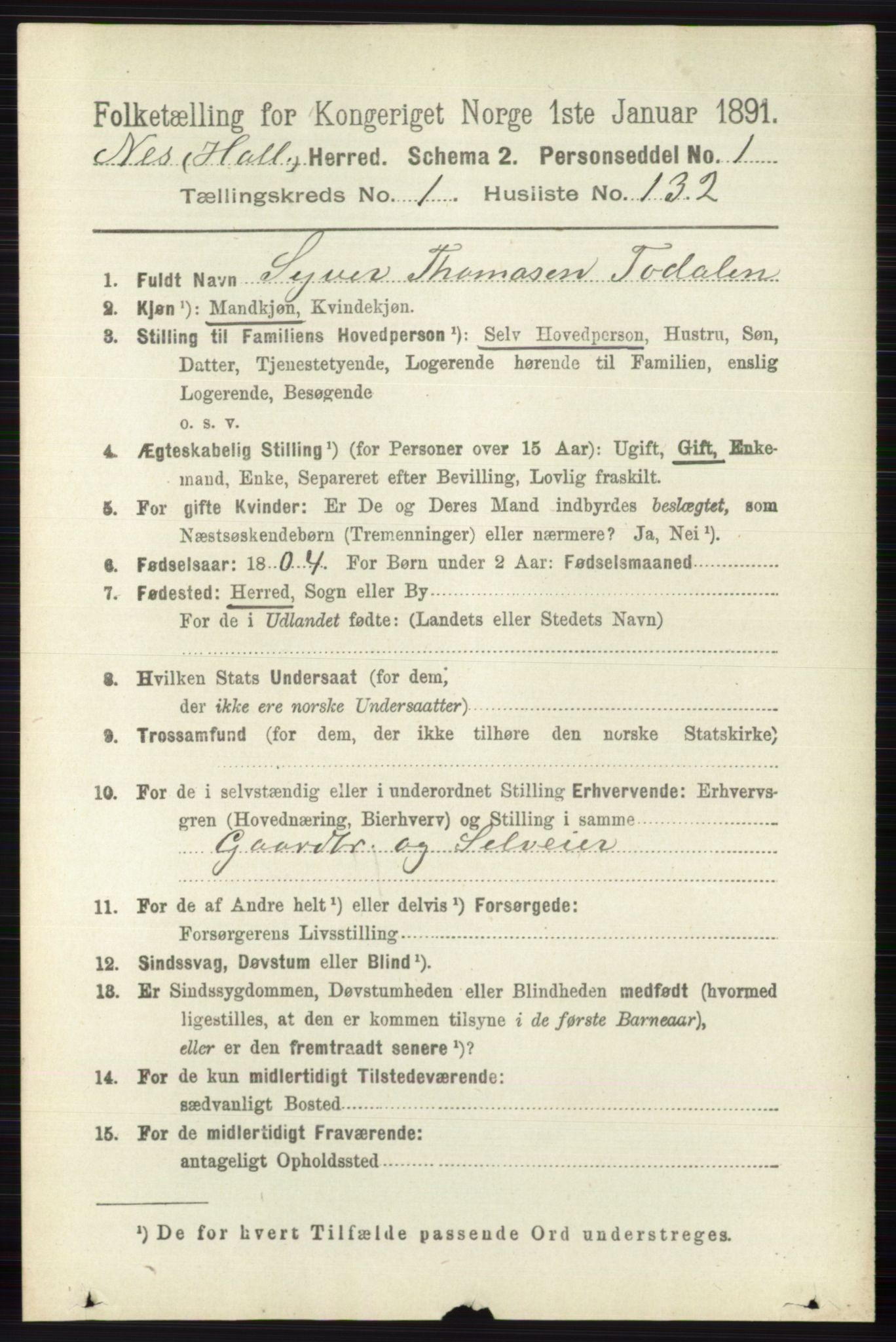 RA, 1891 census for 0616 Nes, 1891, p. 898