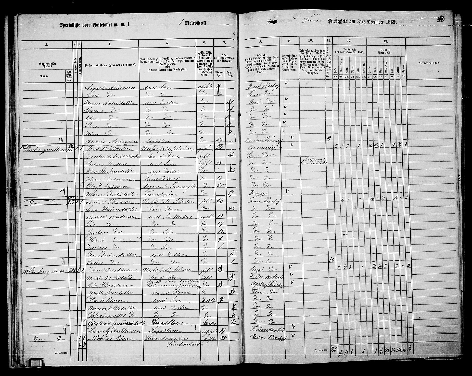 RA, 1865 census for Tune, 1865, p. 37