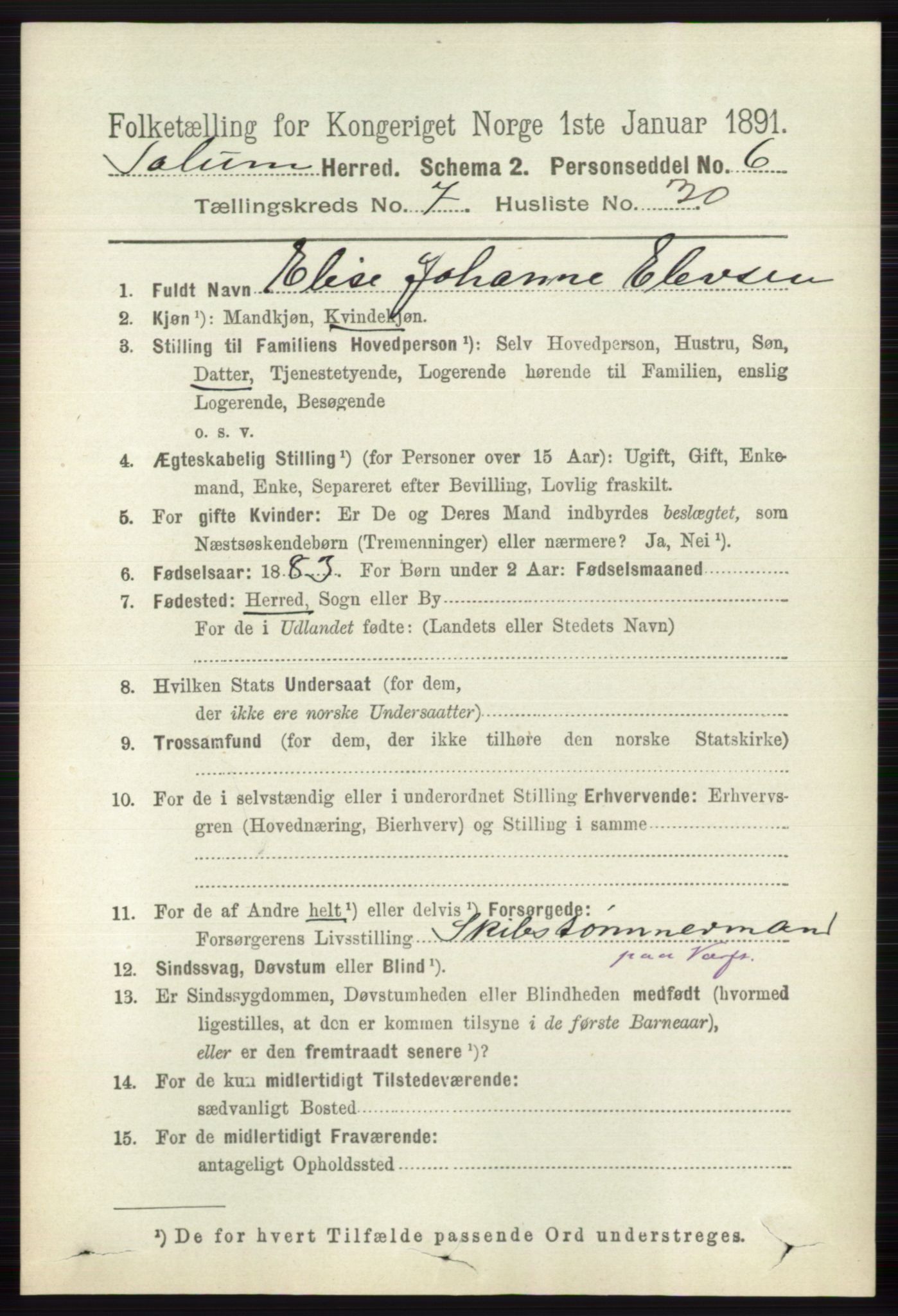 RA, 1891 census for 0818 Solum, 1891, p. 2865