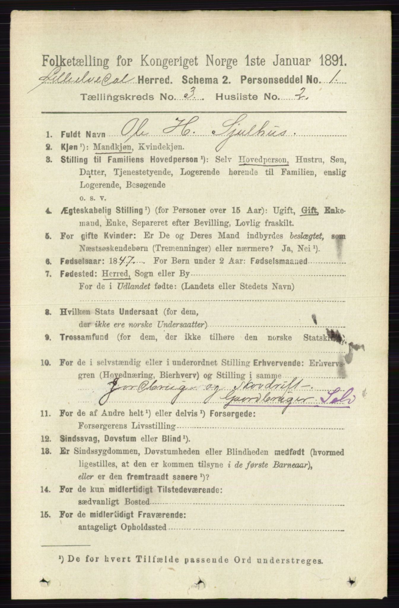 RA, 1891 census for 0438 Lille Elvedalen, 1891, p. 1036