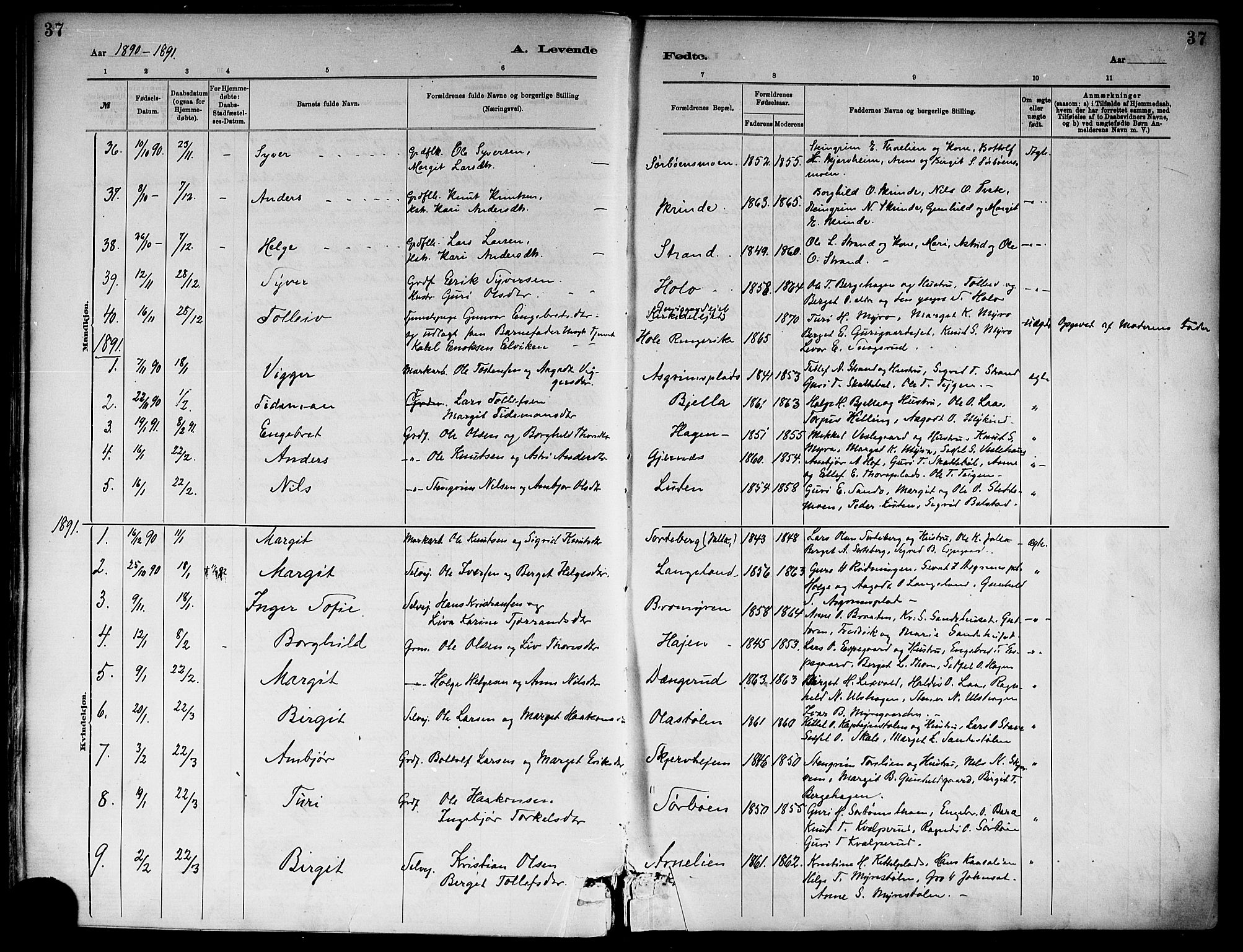 Ål kirkebøker, SAKO/A-249/F/Fa/L0008: Parish register (official) no. I 8, 1882-1896, p. 37