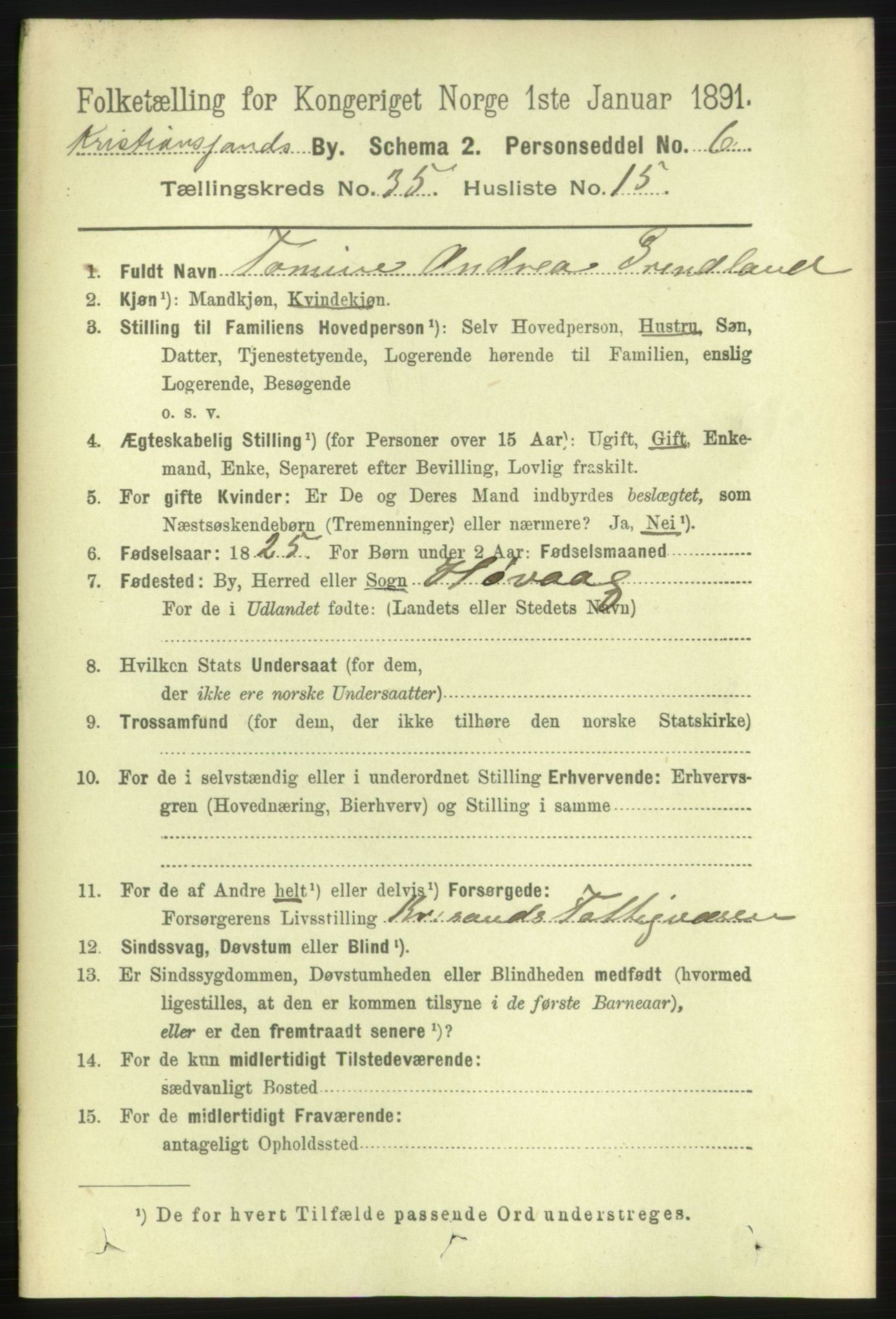 RA, 1891 census for 1001 Kristiansand, 1891, p. 11214