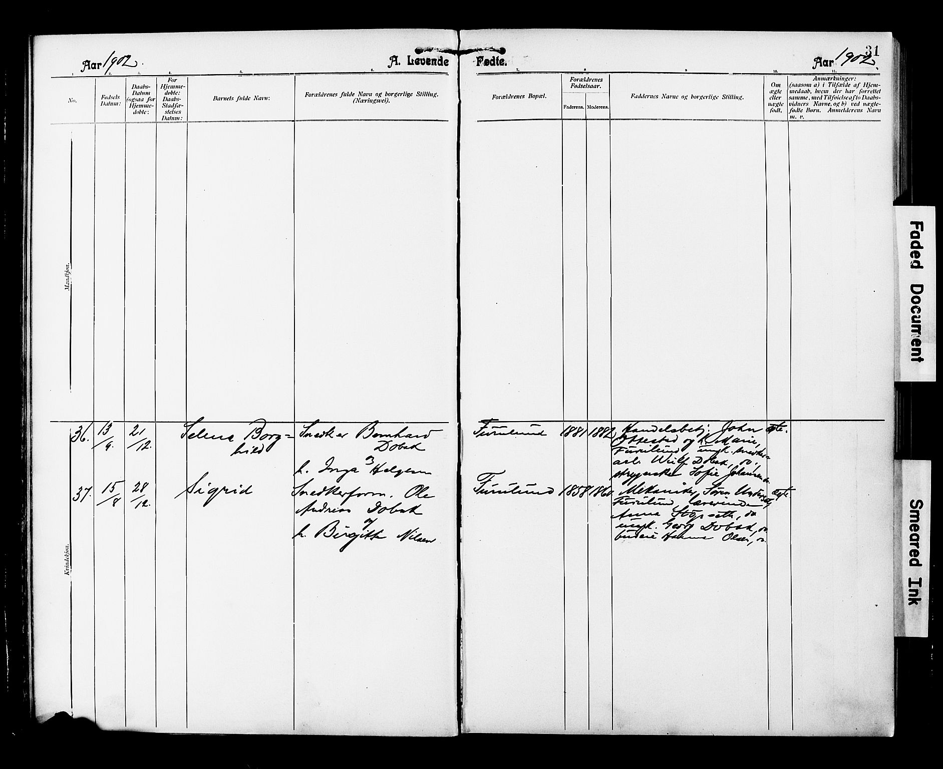 Ministerialprotokoller, klokkerbøker og fødselsregistre - Nordland, AV/SAT-A-1459/850/L0709: Parish register (official) no. 850A01, 1899-1909, p. 31