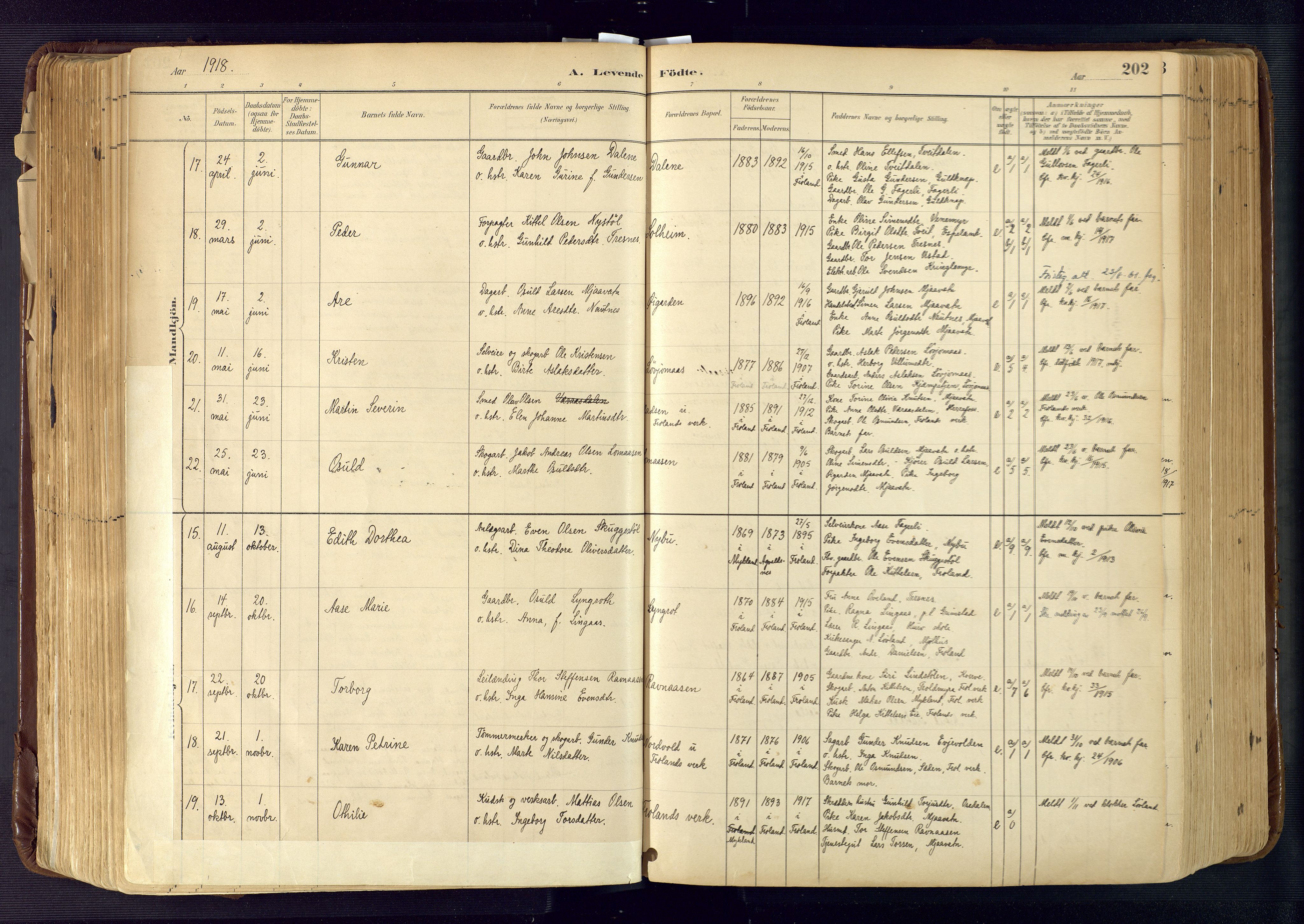 Froland sokneprestkontor, AV/SAK-1111-0013/F/Fa/L0005: Parish register (official) no. A 5, 1882-1921, p. 202