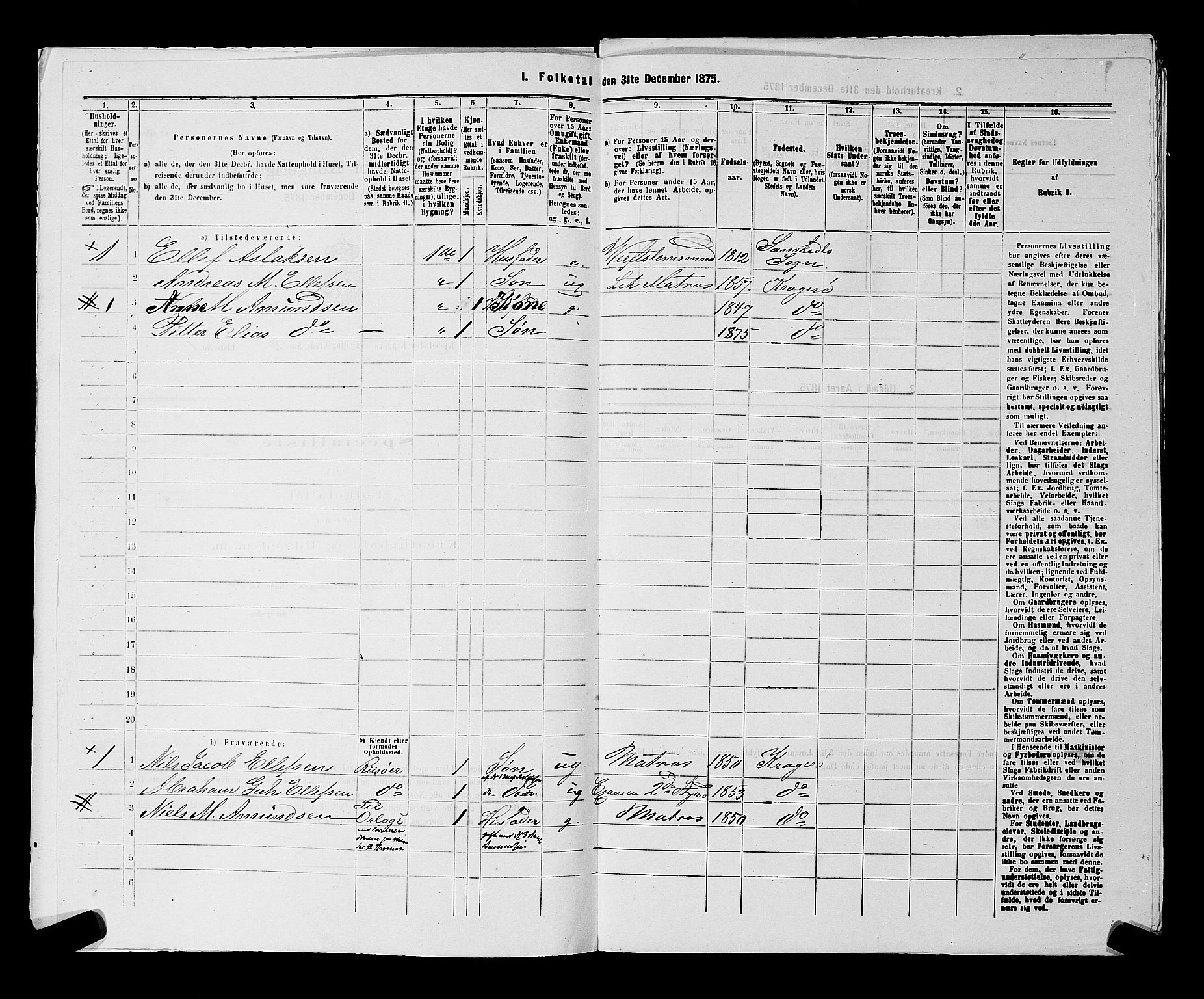 SAKO, 1875 census for 0801P Kragerø, 1875, p. 1103