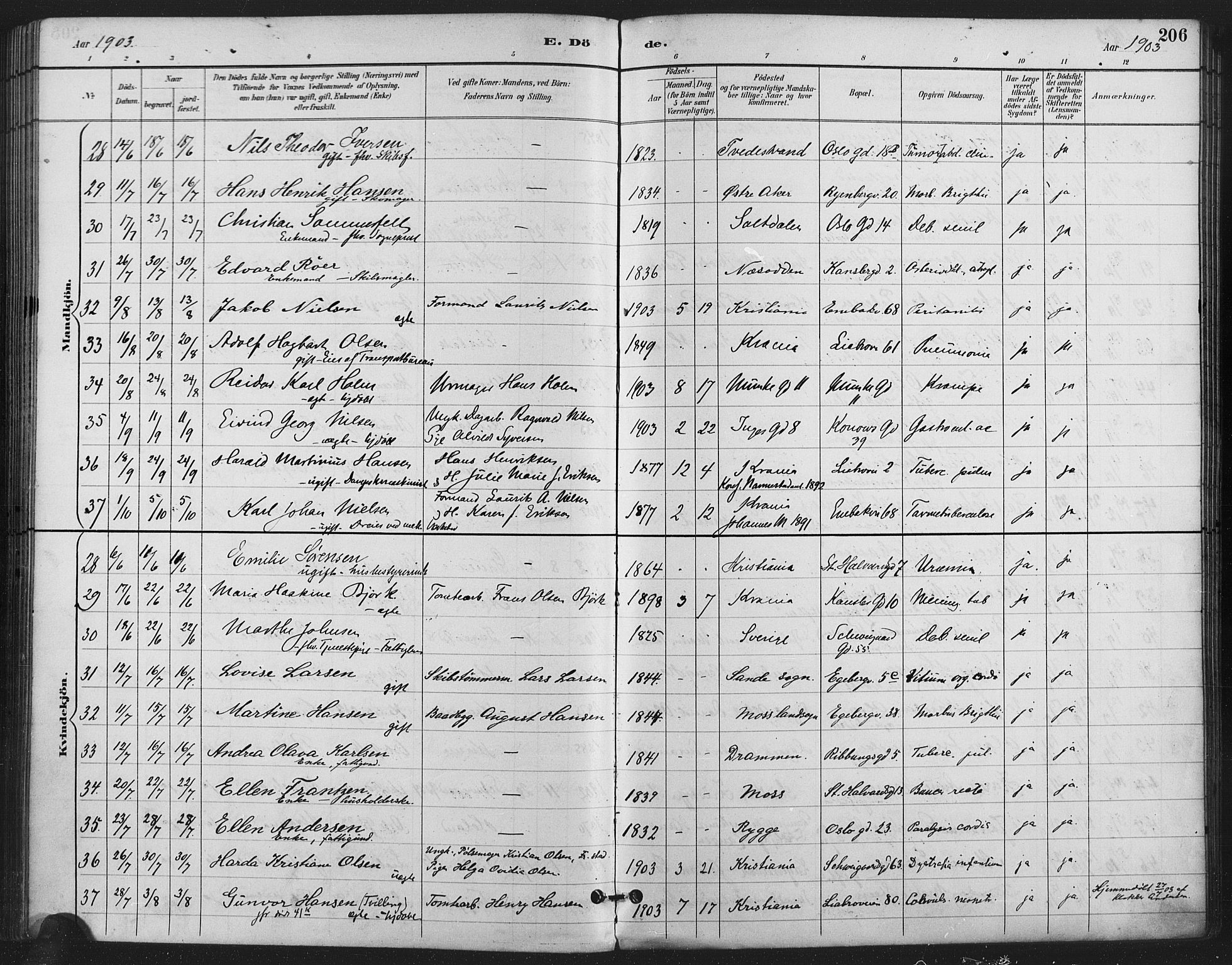 Gamlebyen prestekontor Kirkebøker, AV/SAO-A-10884/F/Fa/L0009: Parish register (official) no. 9, 1888-1909, p. 206