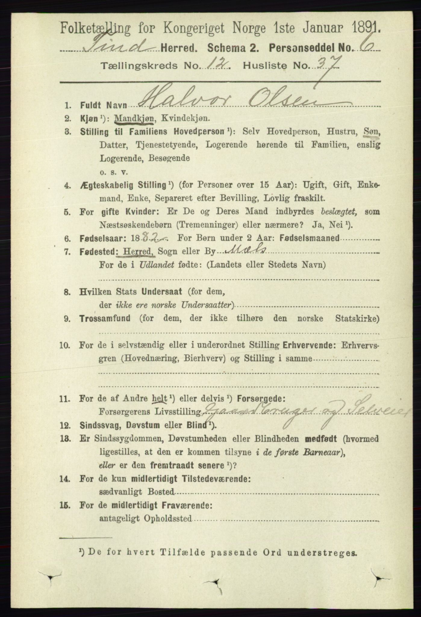 RA, 1891 census for 0826 Tinn, 1891, p. 2533