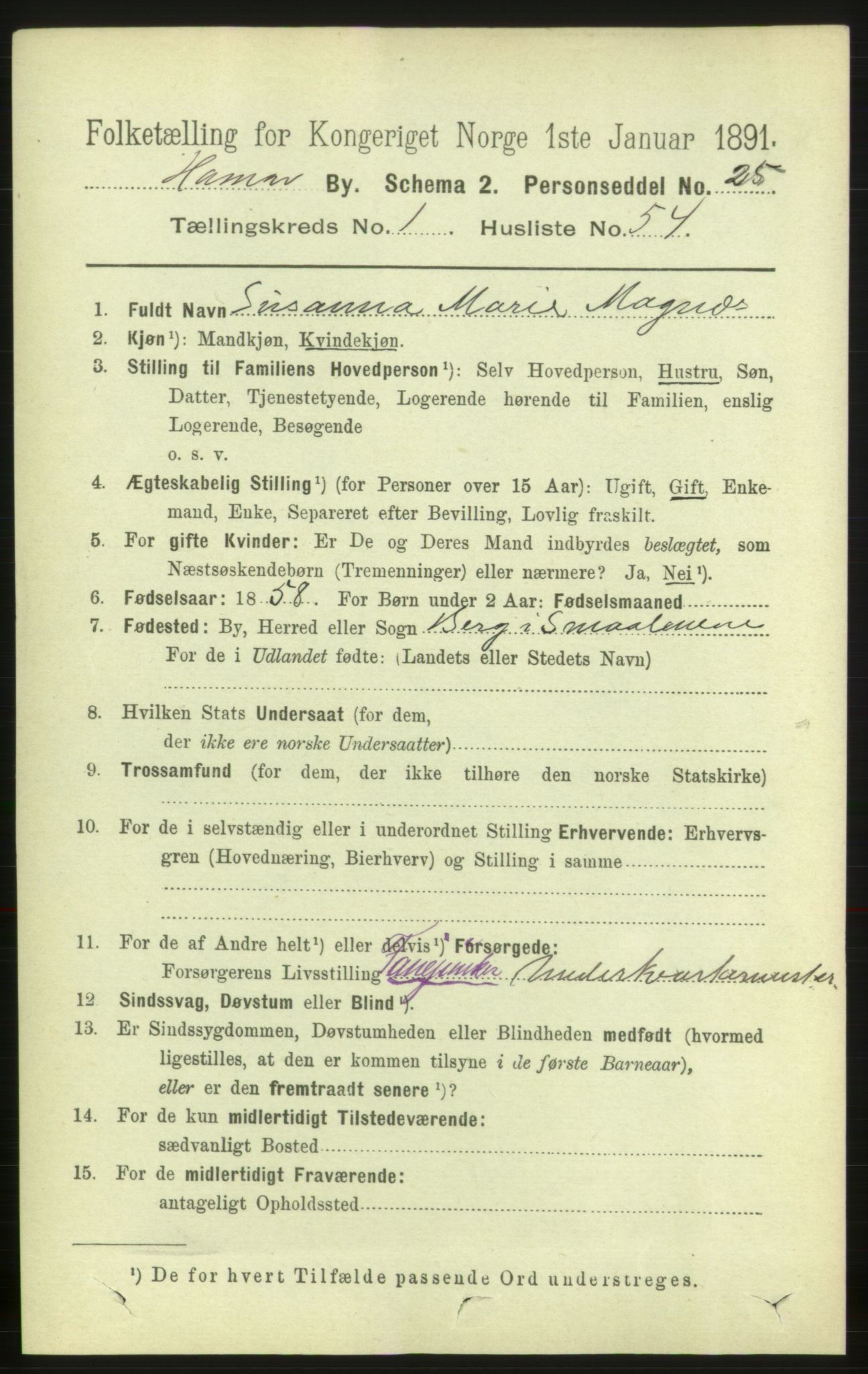 RA, 1891 census for 0401 Hamar, 1891, p. 959