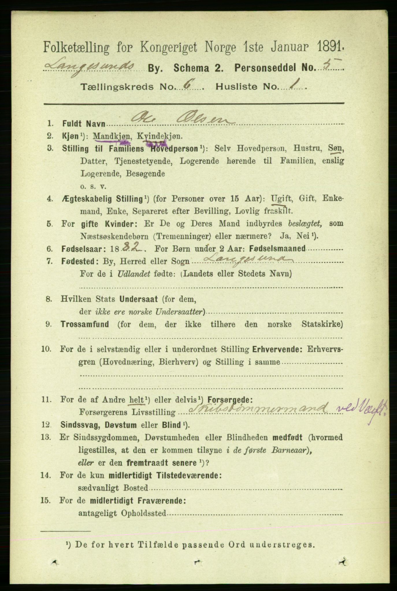 RA, 1891 census for 0802 Langesund, 1891, p. 1504