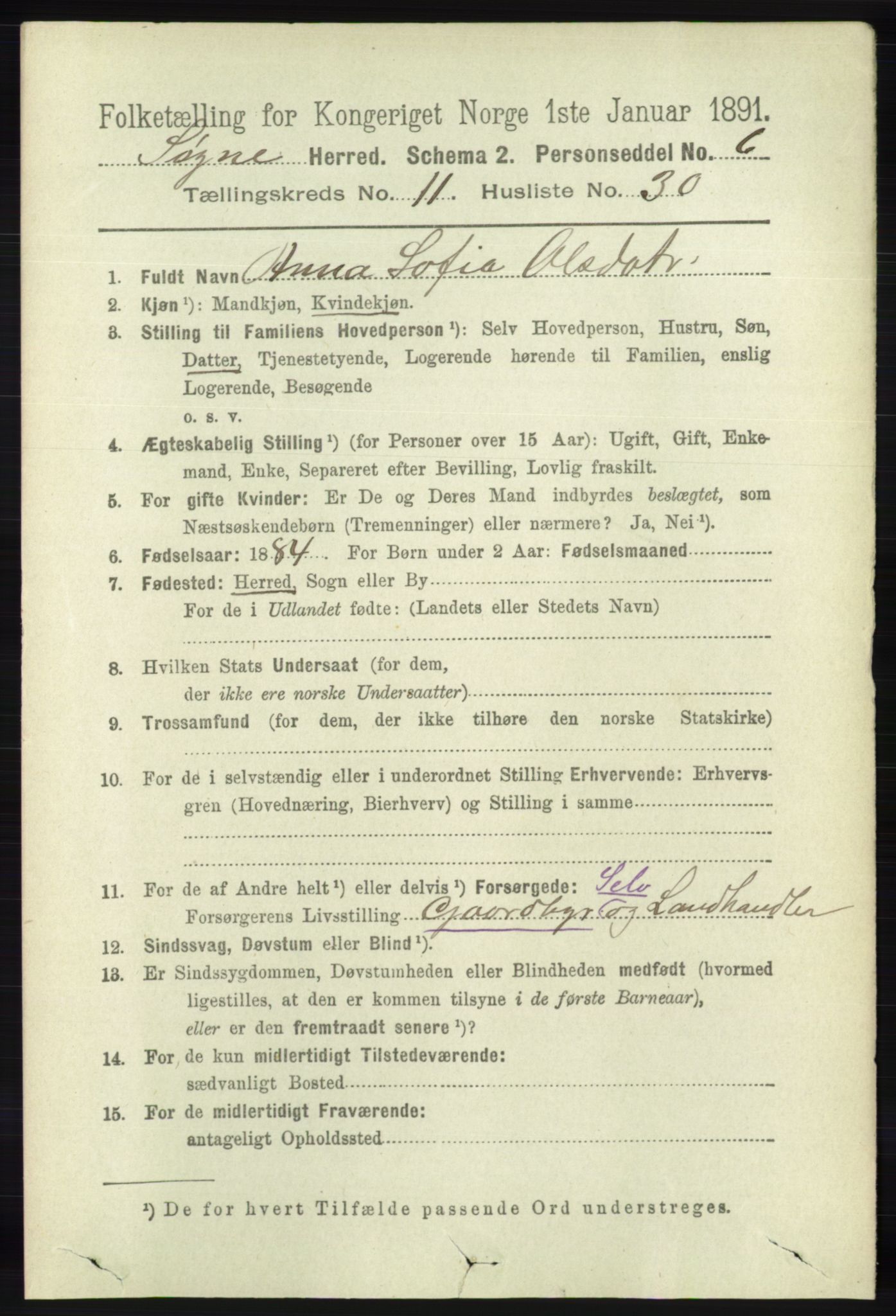 RA, 1891 census for 1018 Søgne, 1891, p. 3099