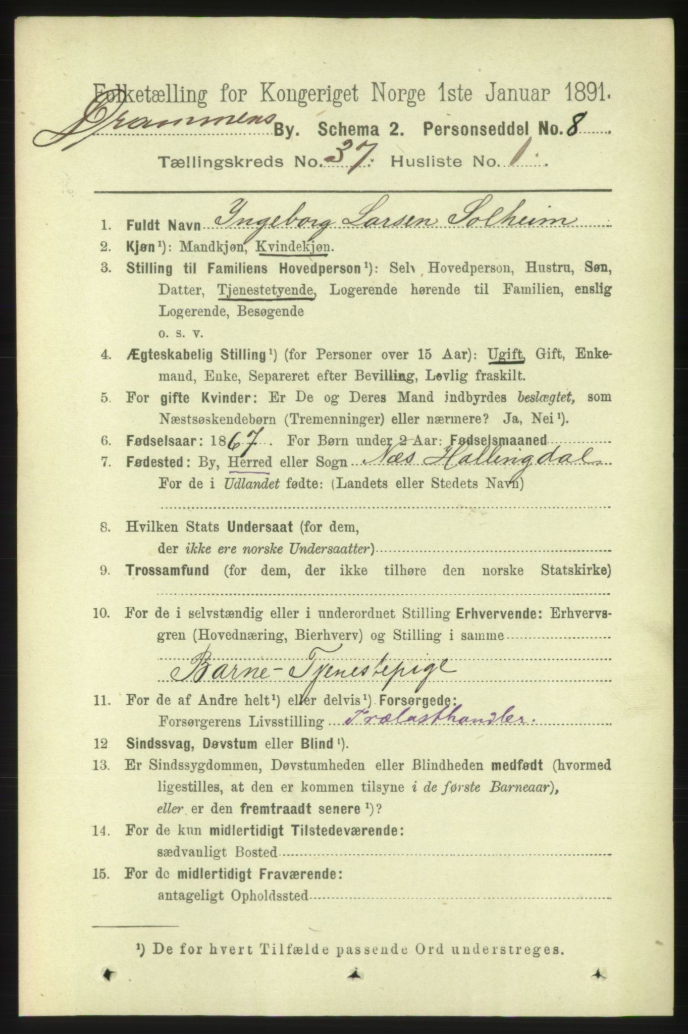 RA, 1891 census for 0602 Drammen, 1891, p. 22807