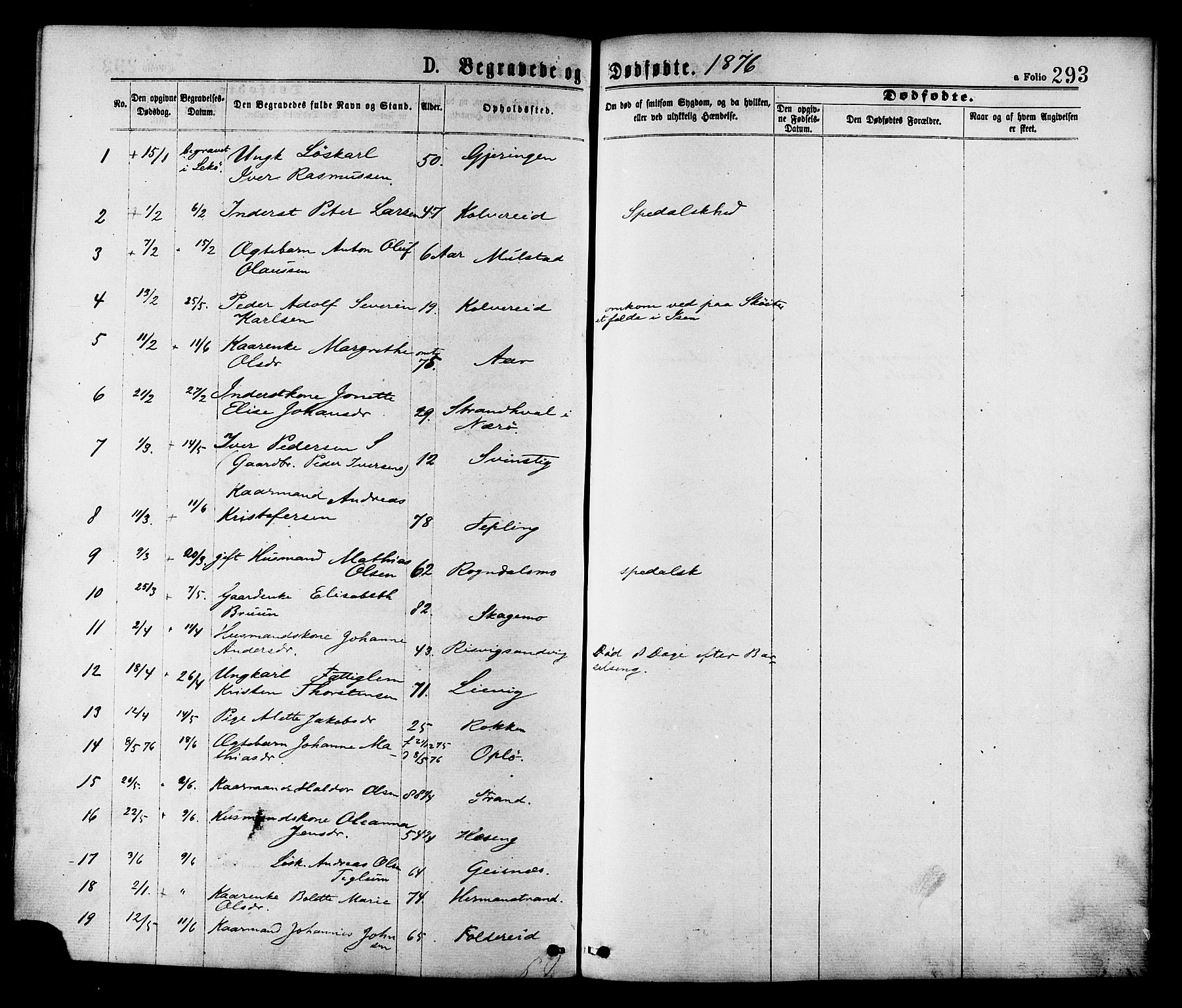 Ministerialprotokoller, klokkerbøker og fødselsregistre - Nord-Trøndelag, AV/SAT-A-1458/780/L0642: Parish register (official) no. 780A07 /1, 1874-1885, p. 293