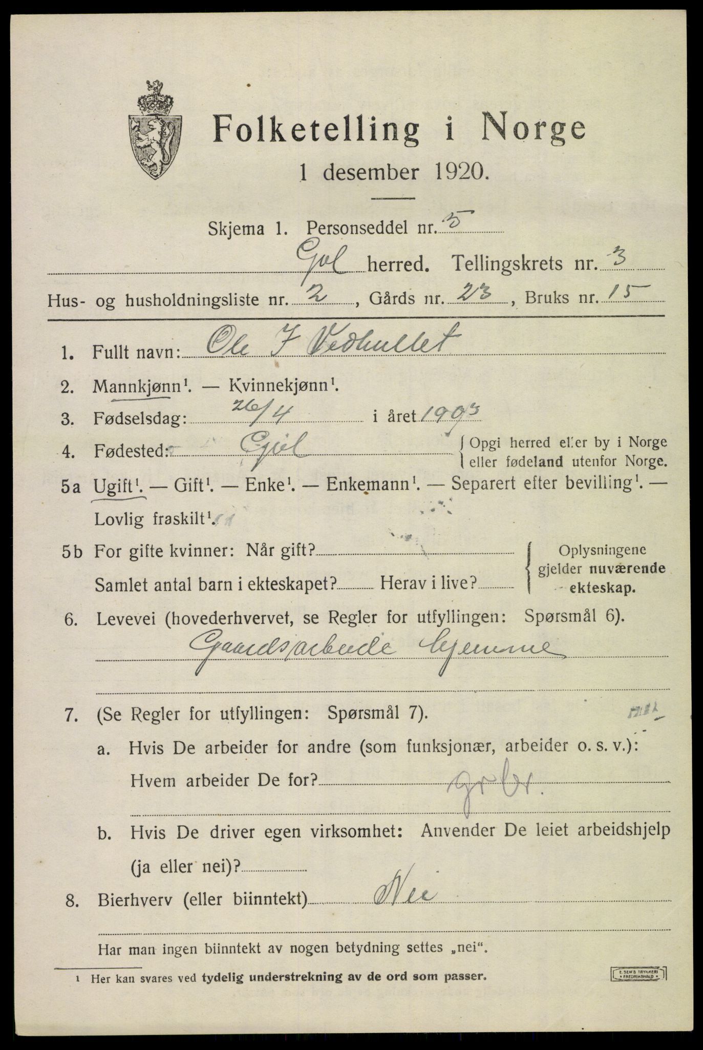 SAKO, 1920 census for Gol, 1920, p. 2198