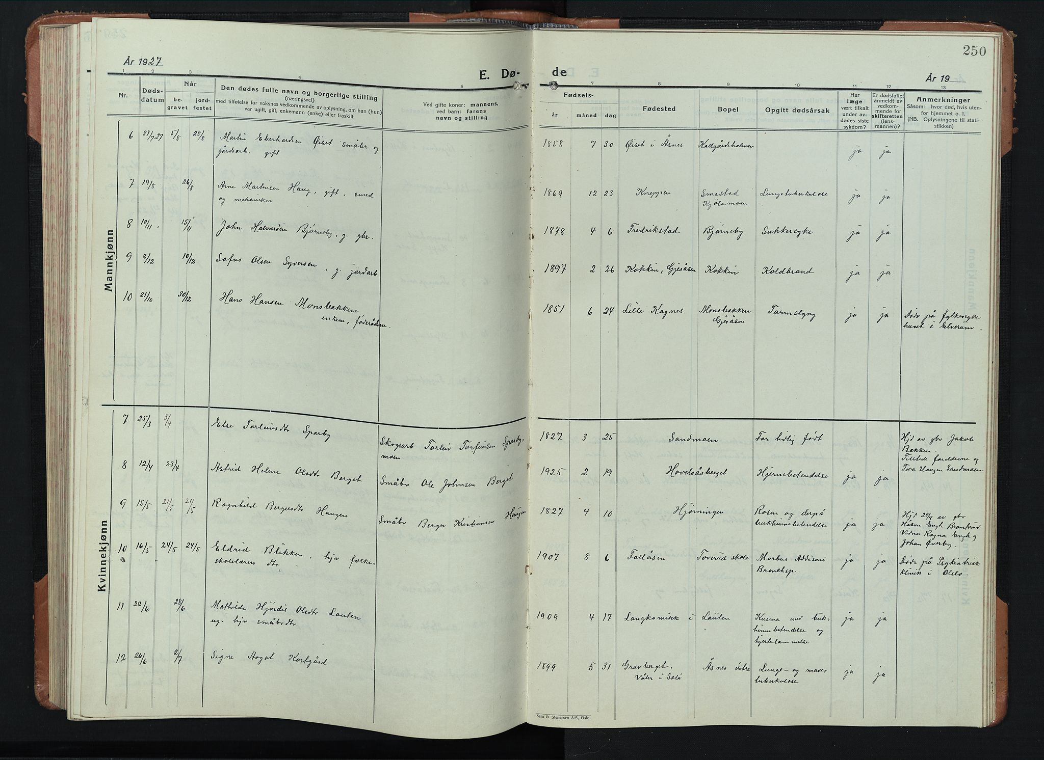 Åsnes prestekontor, AV/SAH-PREST-042/H/Ha/Hab/L0008: Parish register (copy) no. 8, 1927-1942, p. 250