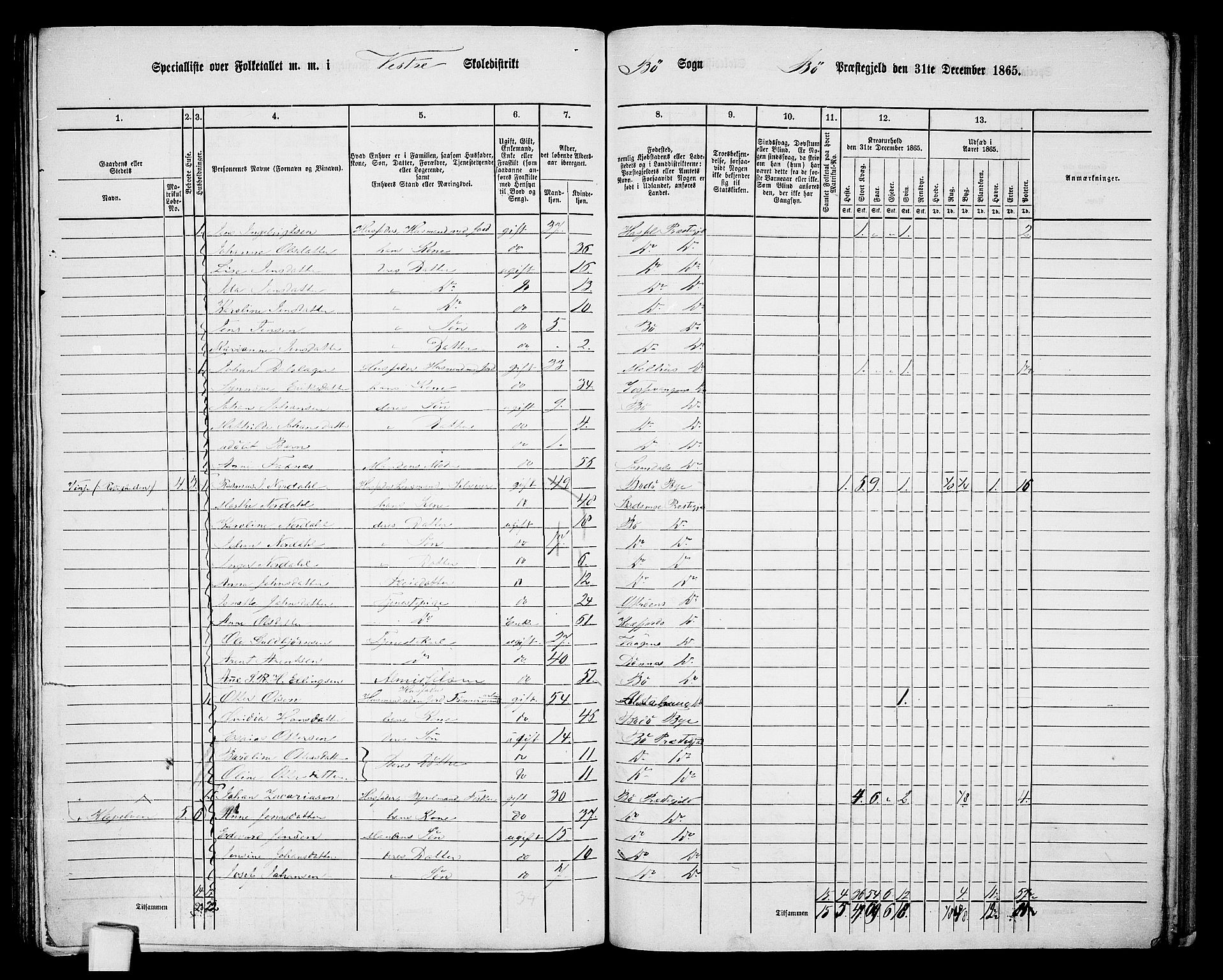 RA, 1865 census for Bø, 1865, p. 79