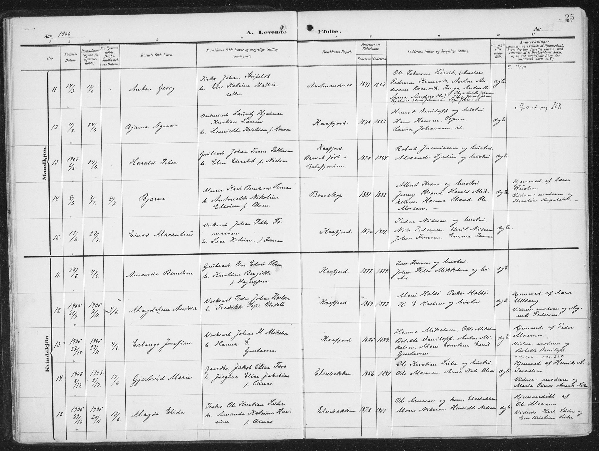 Alta sokneprestkontor, AV/SATØ-S-1338/H/Ha/L0005.kirke: Parish register (official) no. 5, 1904-1918, p. 25