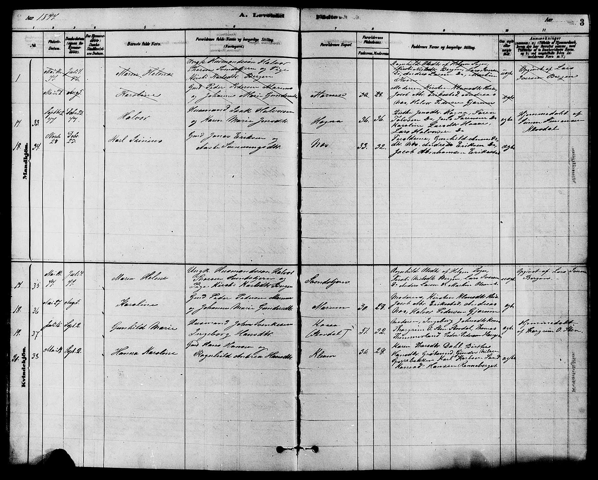 Solum kirkebøker, SAKO/A-306/F/Fb/L0001: Parish register (official) no. II 1, 1877-1892, p. 3