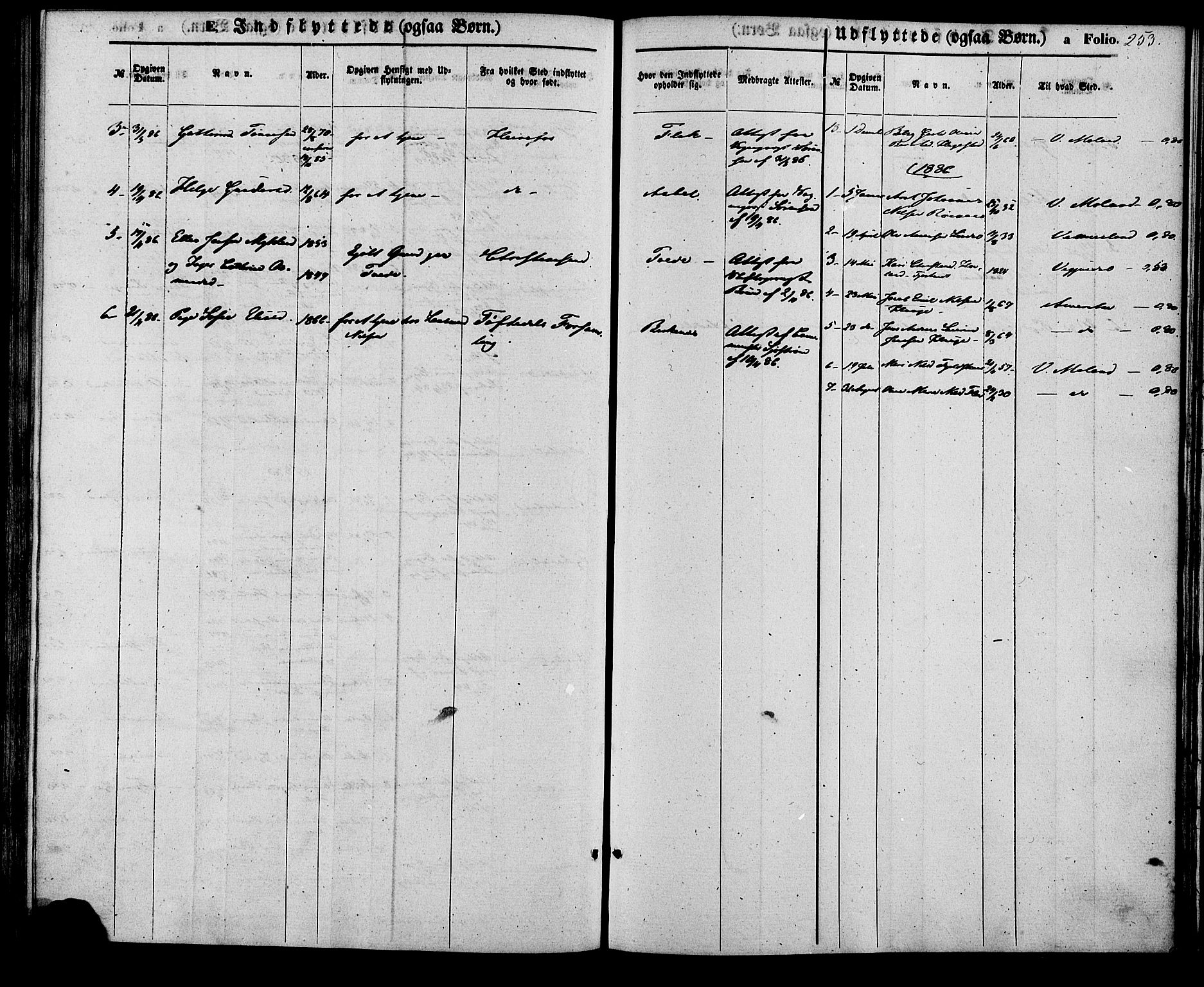 Birkenes sokneprestkontor, SAK/1111-0004/F/Fa/L0004: Parish register (official) no. A 4, 1867-1886, p. 253