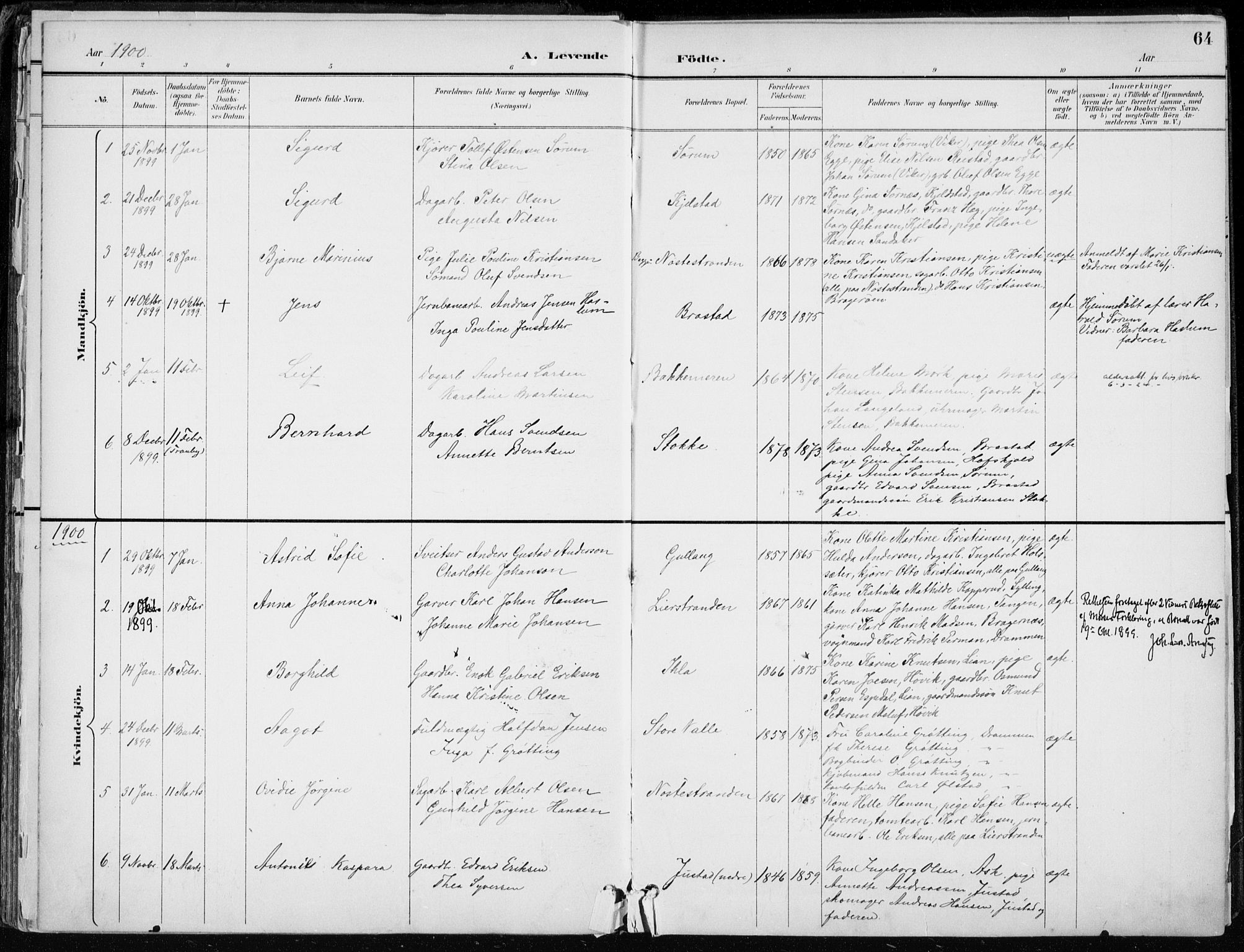 Lier kirkebøker, AV/SAKO-A-230/F/Fa/L0016: Parish register (official) no. I 16, 1895-1900, p. 64