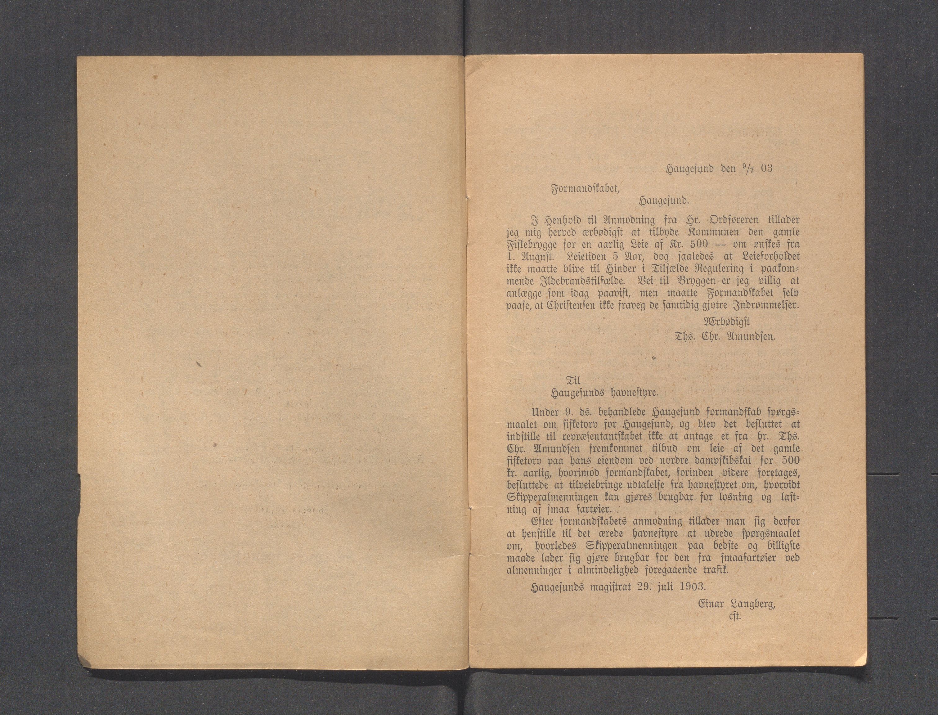 Haugesund kommune - Formannskapet og Bystyret, IKAR/A-740/A/Abb/L0001: Bystyreforhandlinger, 1889-1907, p. 409