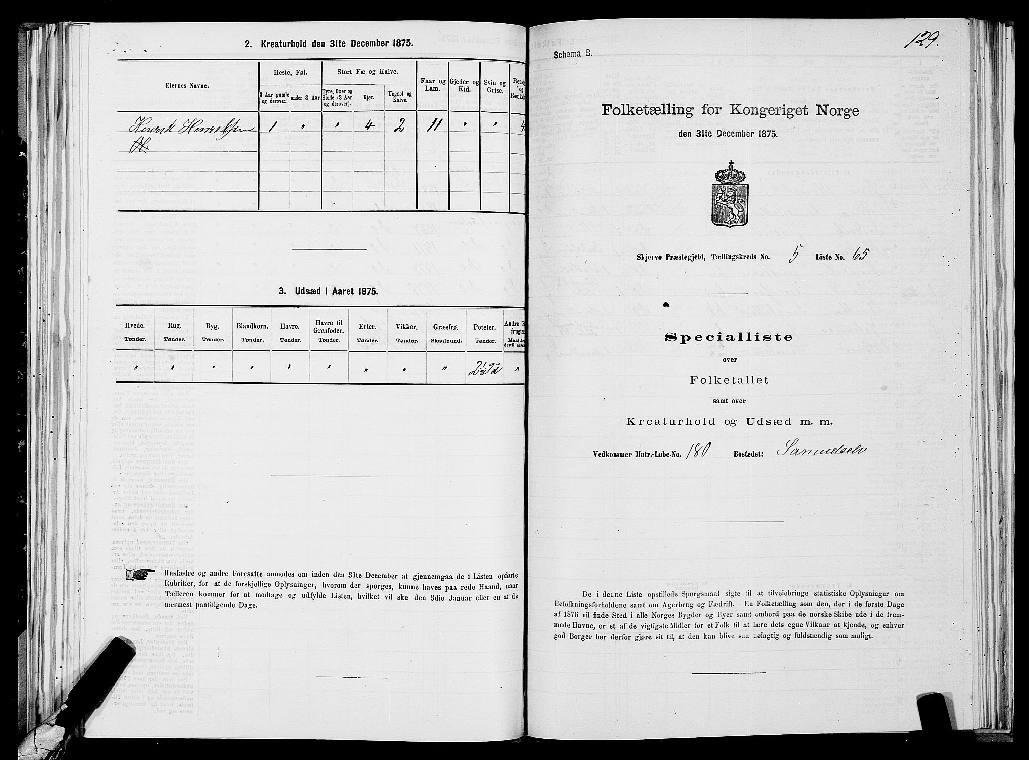 SATØ, 1875 census for 1941P Skjervøy, 1875, p. 4129