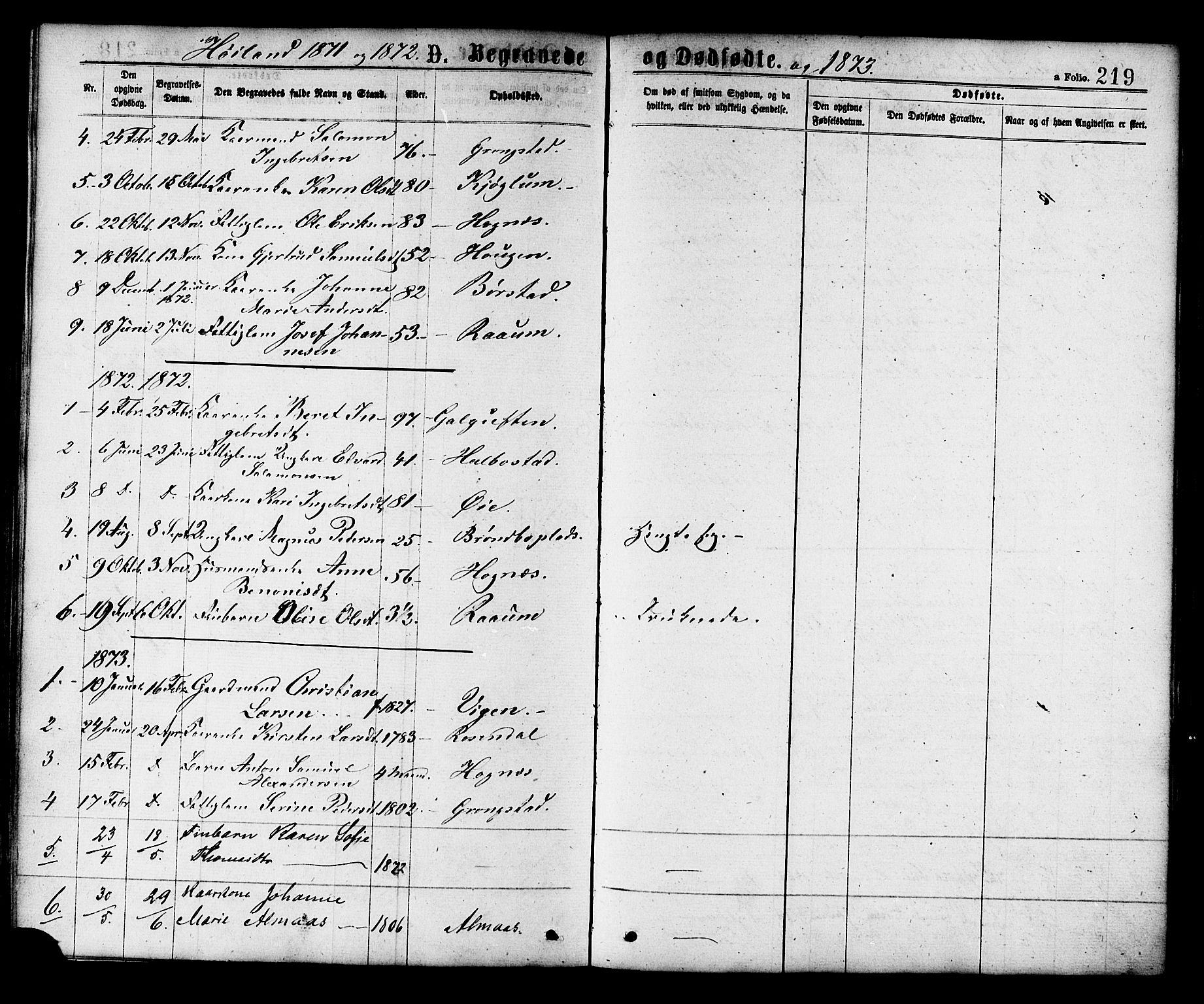 Ministerialprotokoller, klokkerbøker og fødselsregistre - Nord-Trøndelag, SAT/A-1458/758/L0516: Parish register (official) no. 758A03 /2, 1869-1879, p. 219