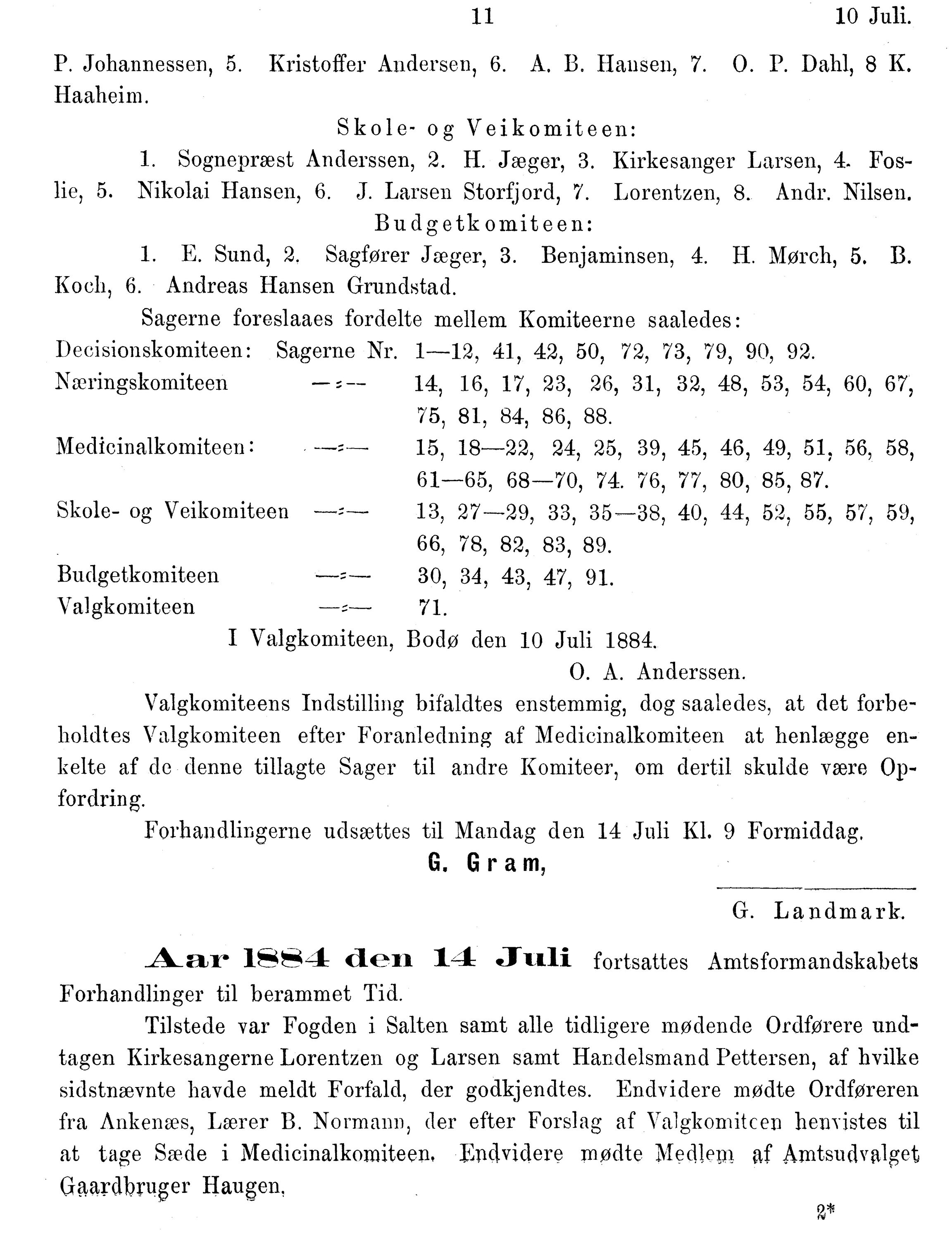 Nordland Fylkeskommune. Fylkestinget, AIN/NFK-17/176/A/Ac/L0014: Fylkestingsforhandlinger 1881-1885, 1881-1885, p. 11